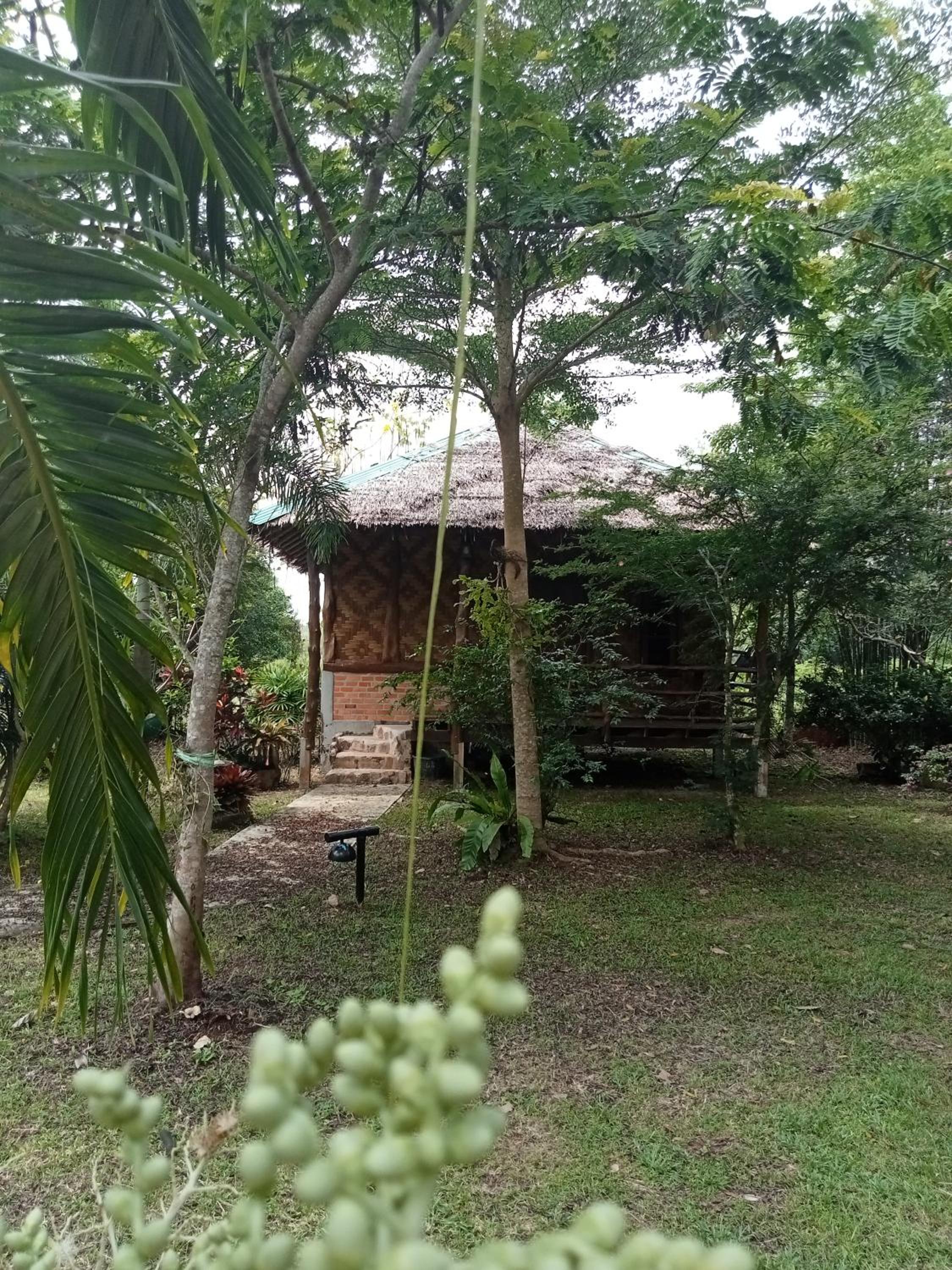 Double Room with Garden View photo 2