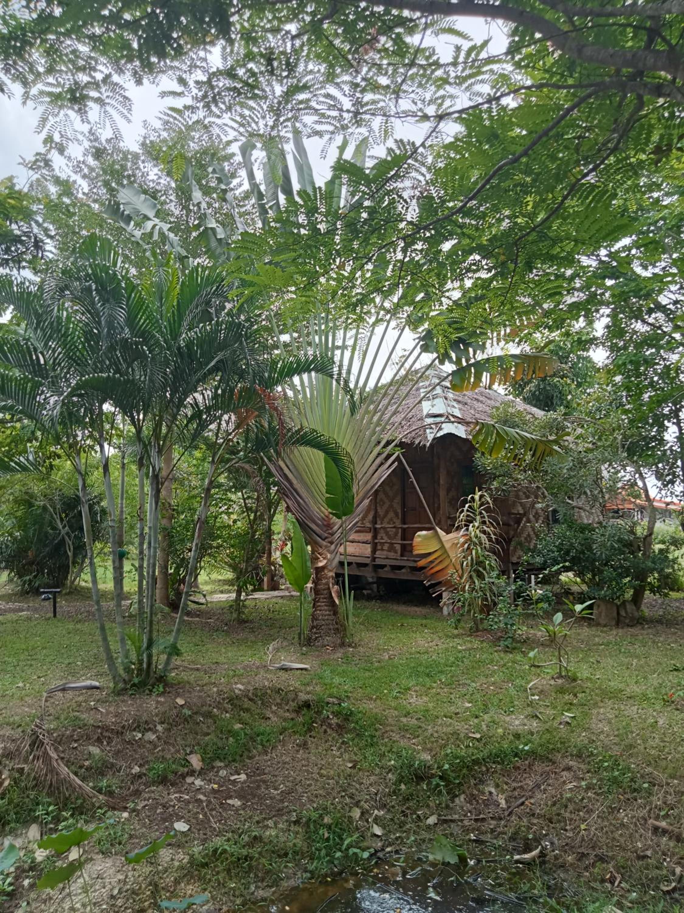 Double Room with Garden View photo 3