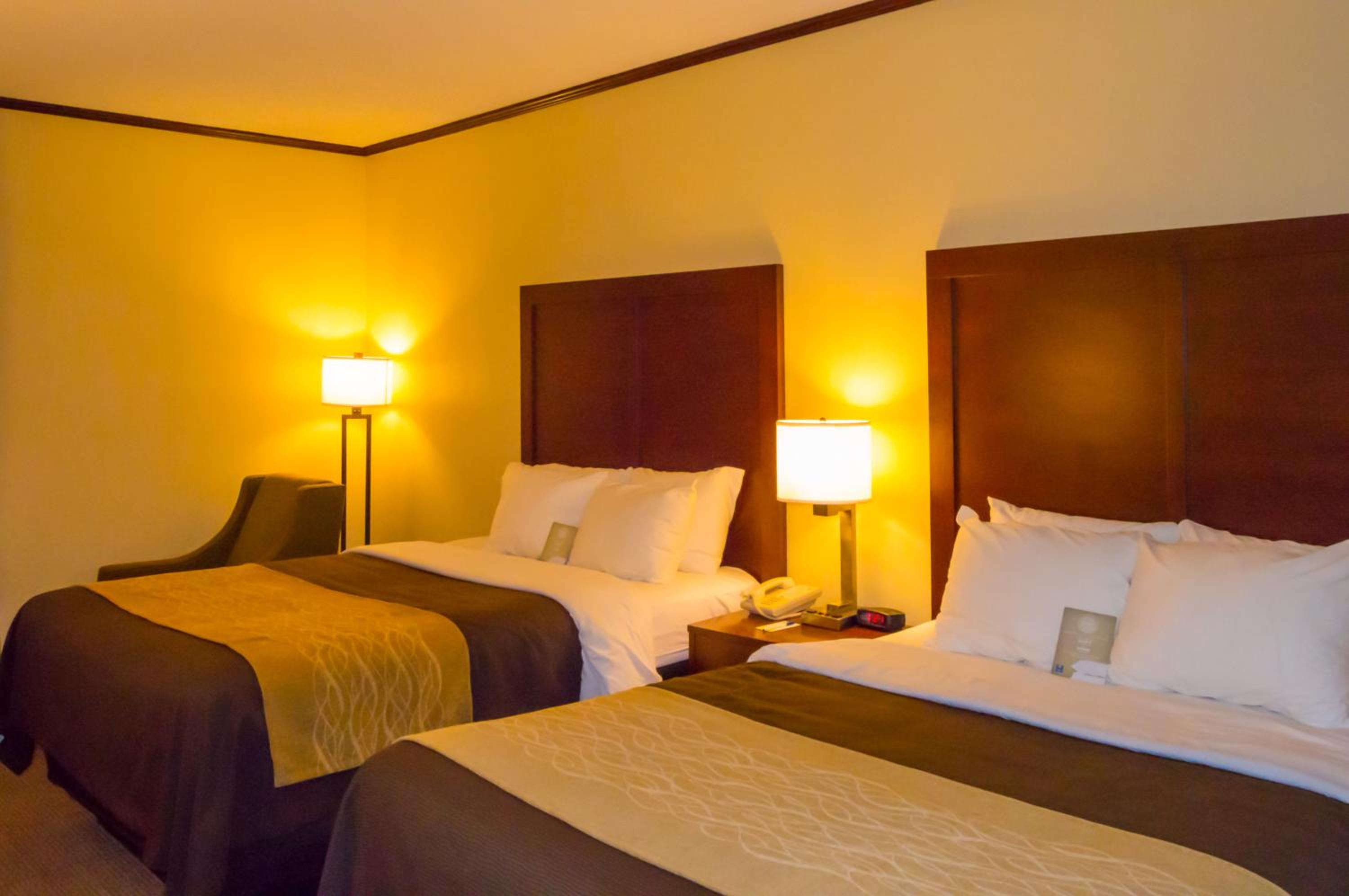 Queen Suite with Two Queen Beds - Non-Smoking - Photo 4