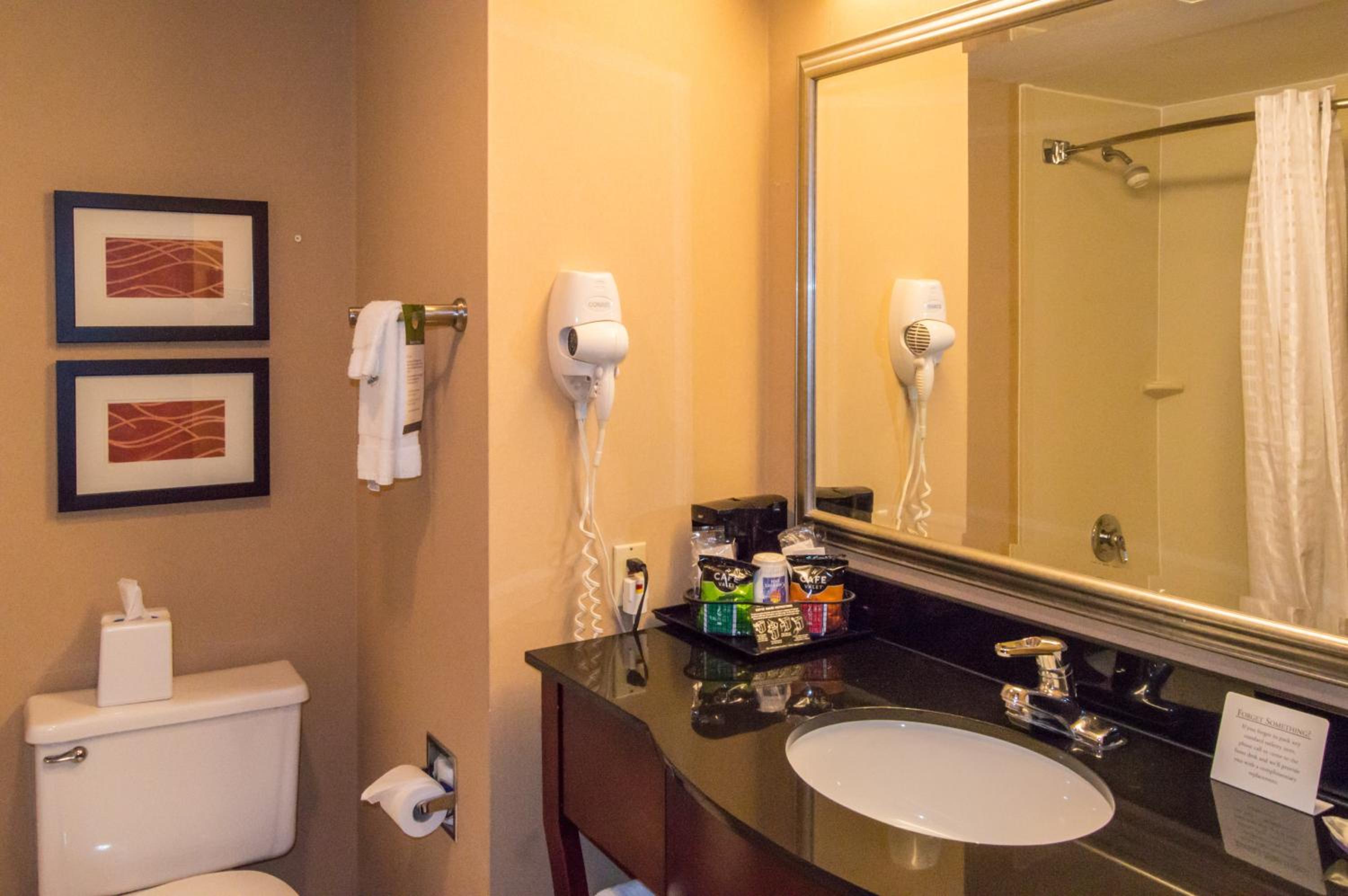 King Suite - Non-Smoking - Photo 4