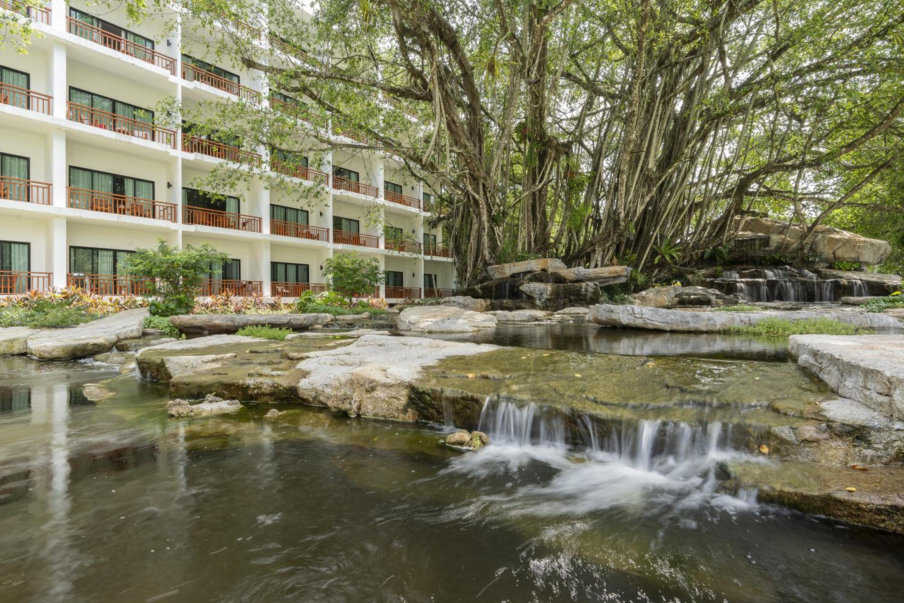 Superior Rain Forest View Room photo 2