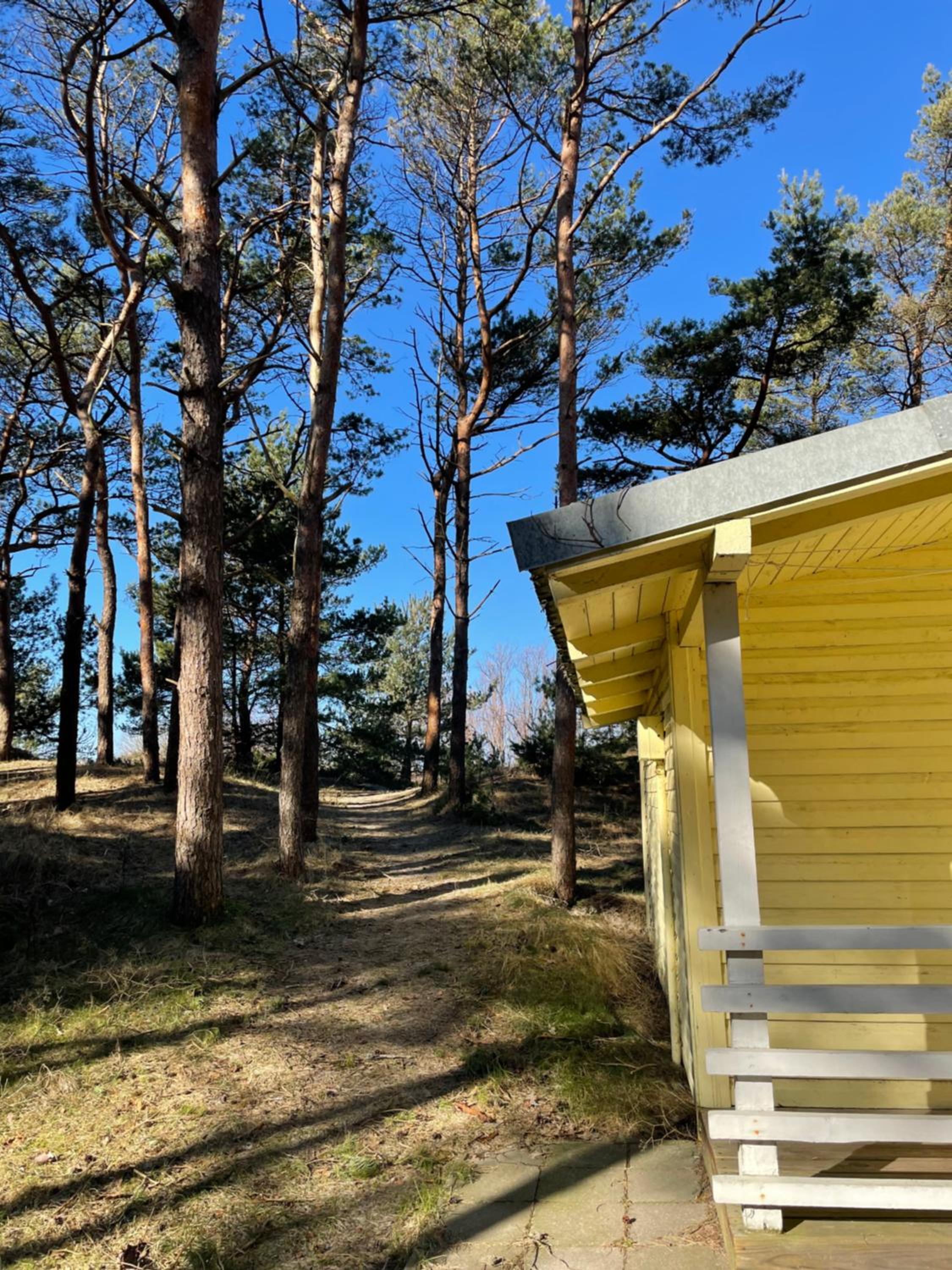 Chalet photo 2