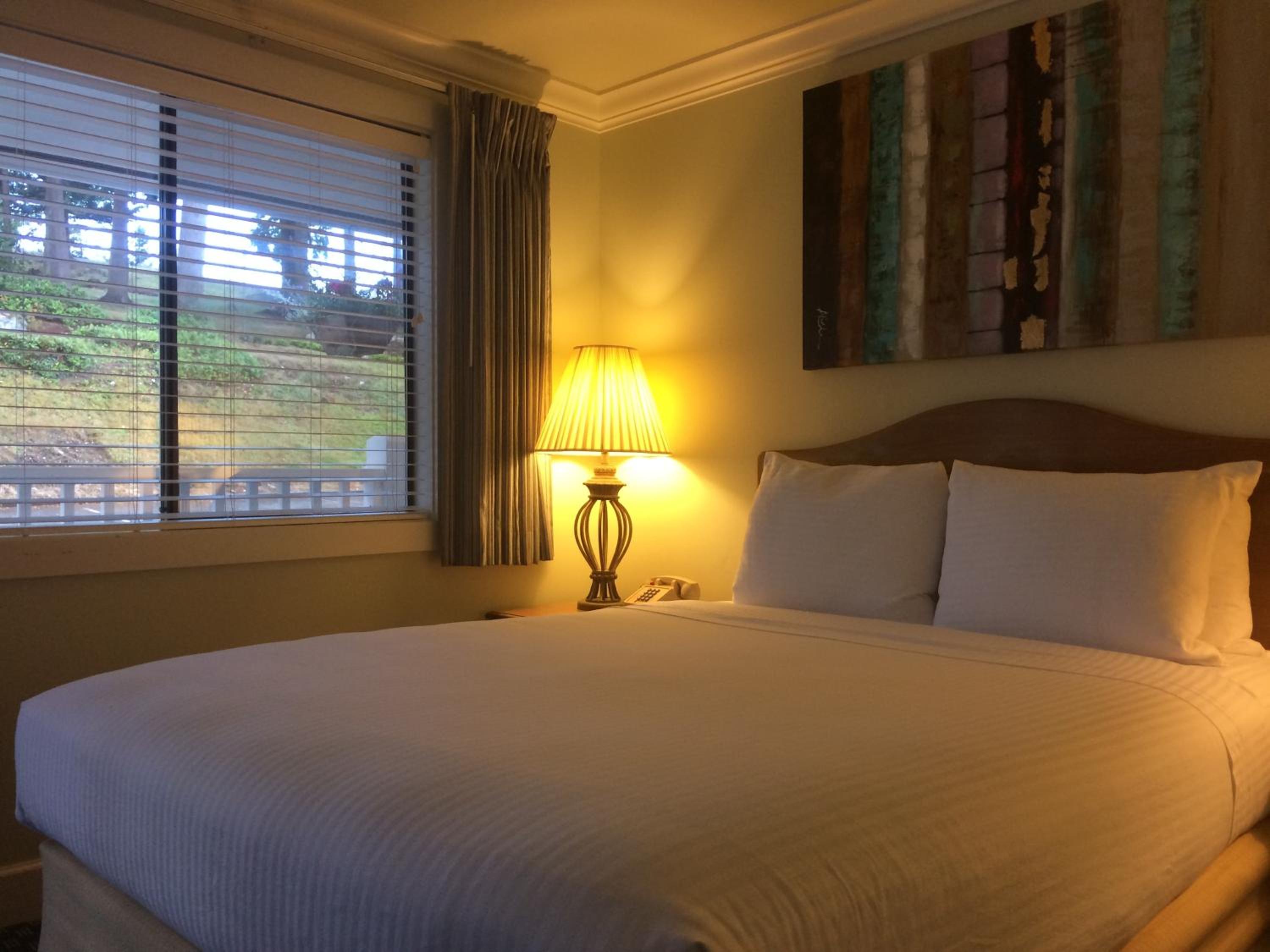  Cottage - Pet Friendly - Photo 1