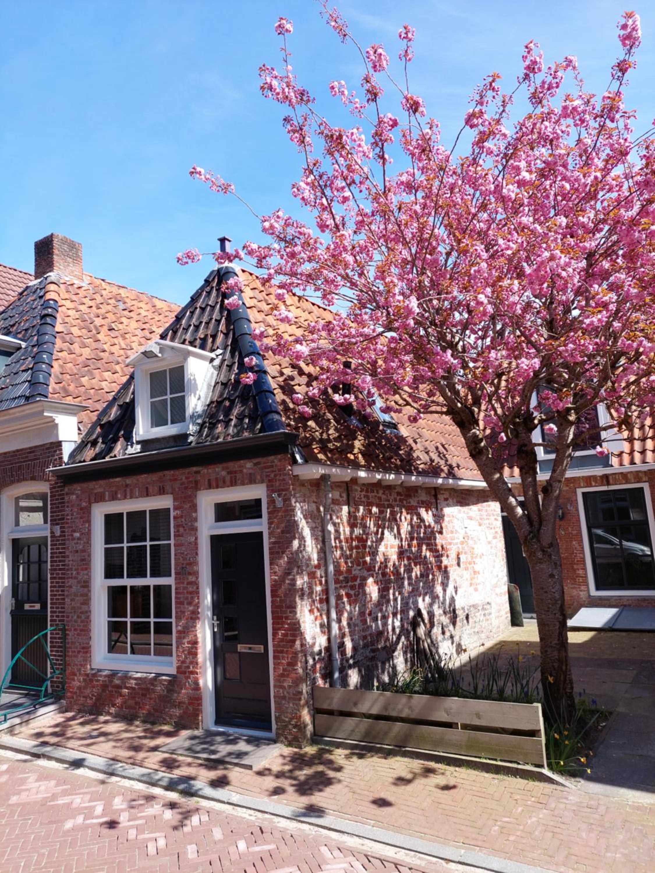 One-Bedroom House - Photo 21