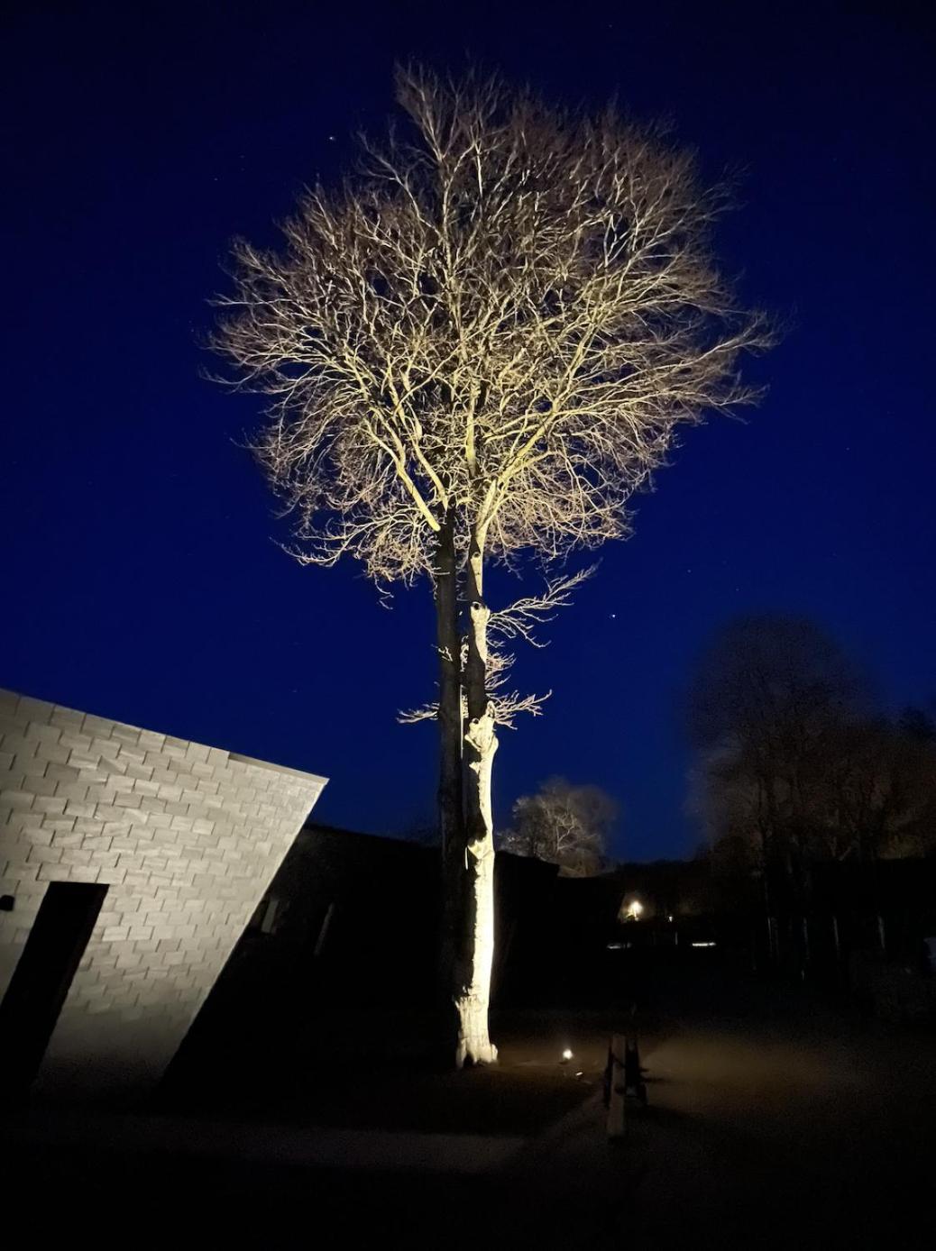 Superior Chalet - Photo 14