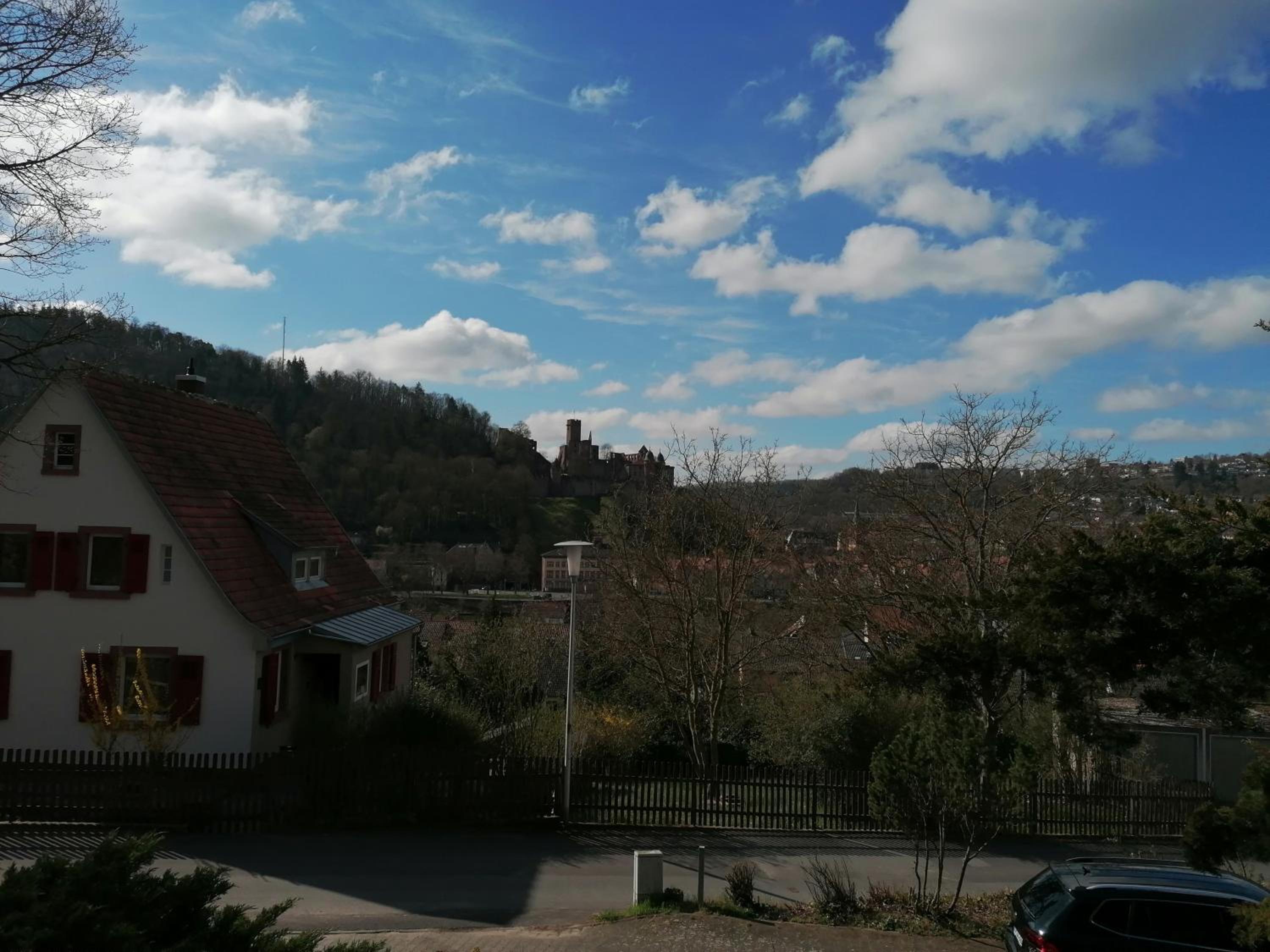 Apartment with Terrace photo 3