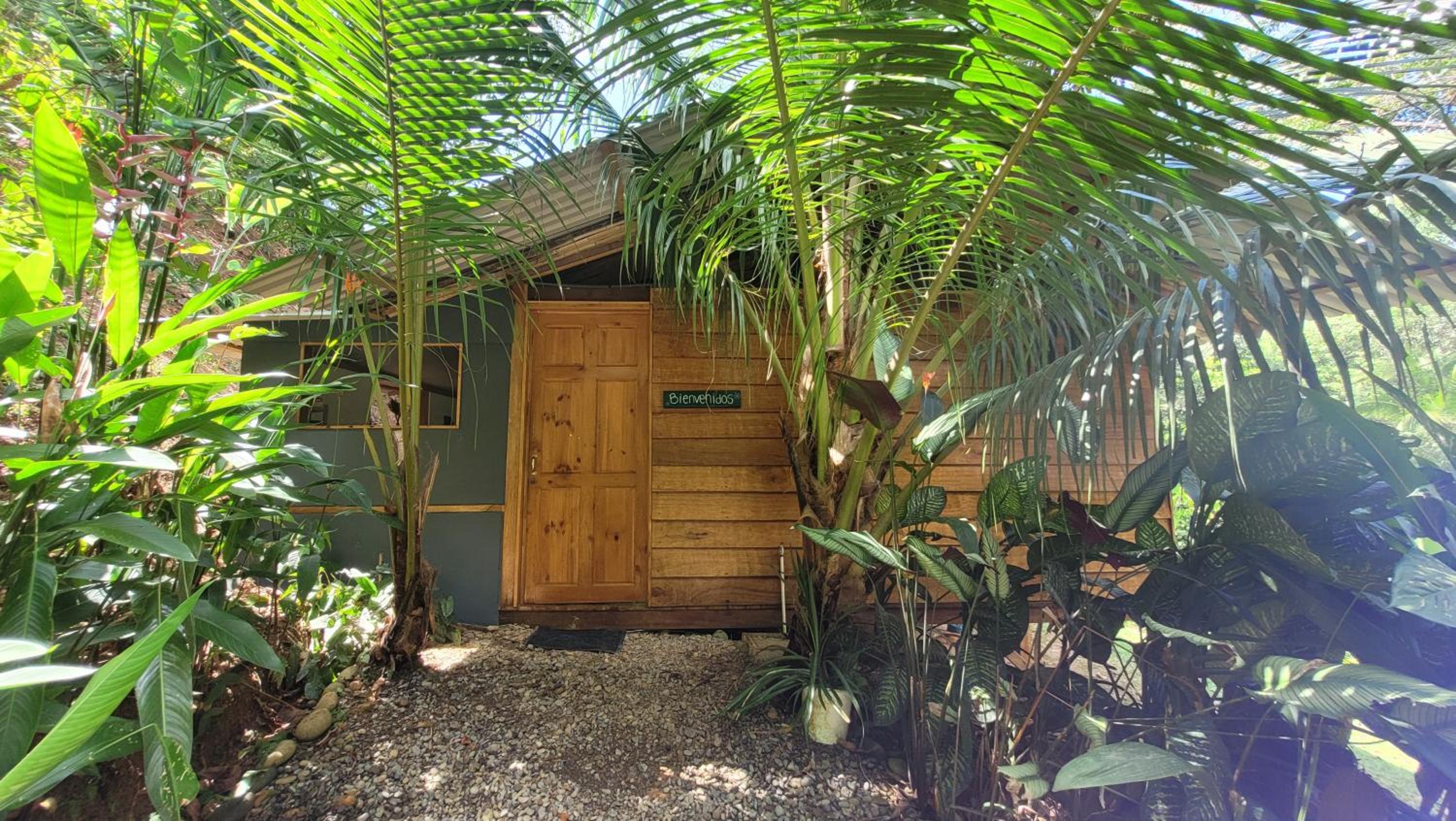 One-Bedroom House photo 2