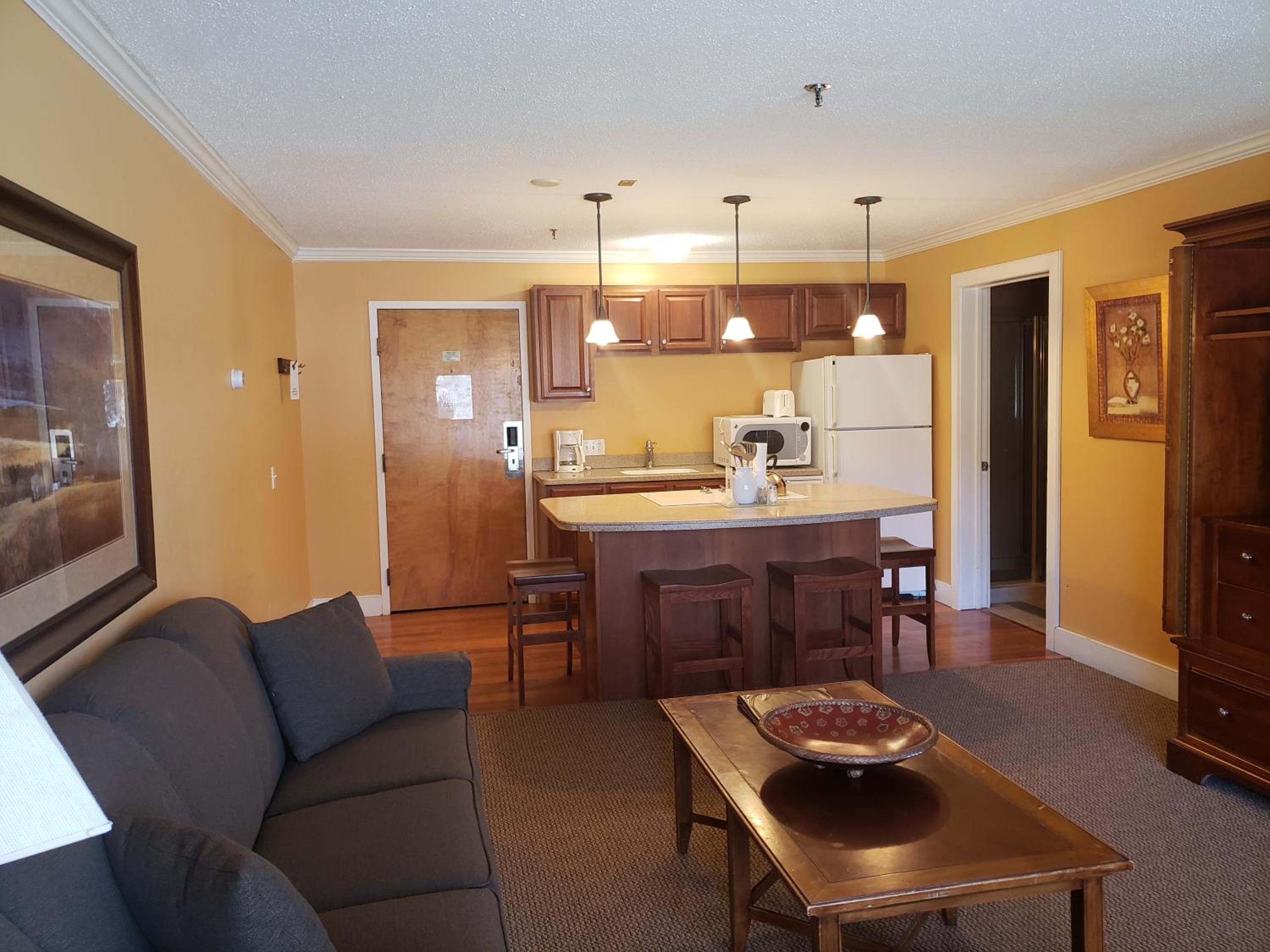 One-Bedroom Suite - Photo 9