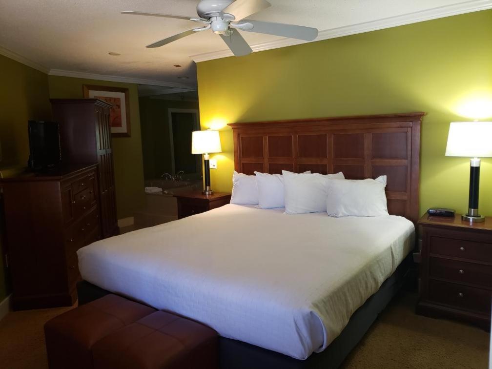 One-Bedroom Suite - Photo 8