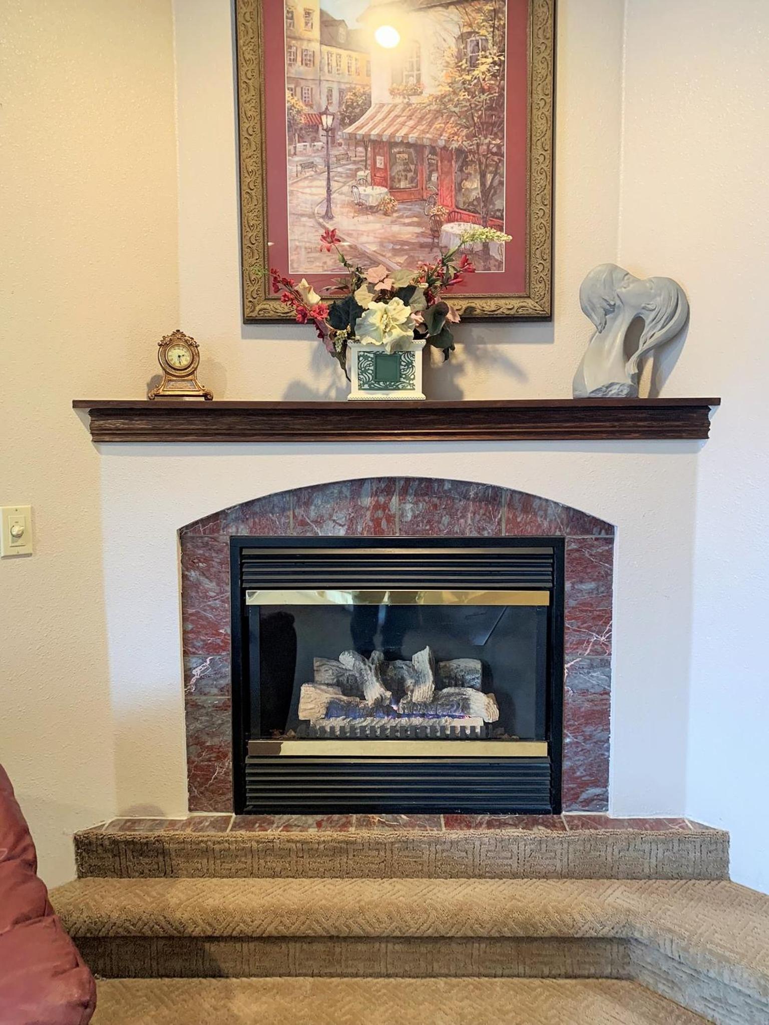 Queen Jacuzzi Room w/ Fireplace (206) photo 2