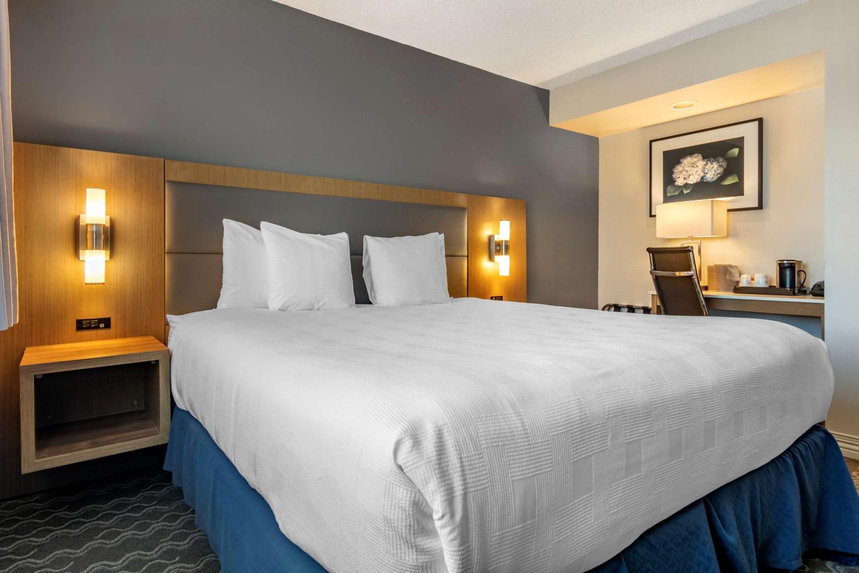 Executive King Room with Bath Tub - Disability Access - Photo 1
