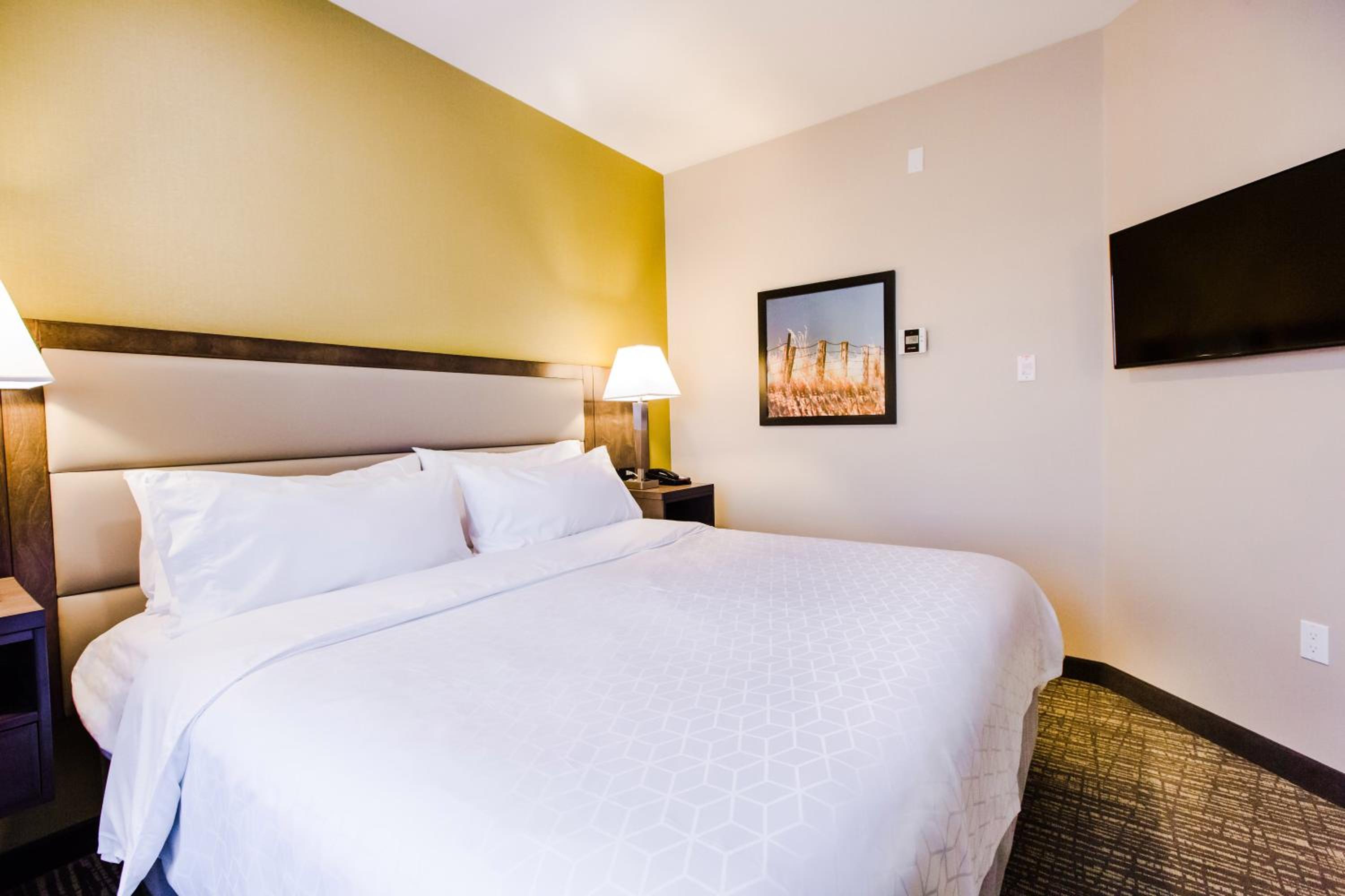 One-Bedroom Suite One King Bed Non-Smoking thumbnail 6