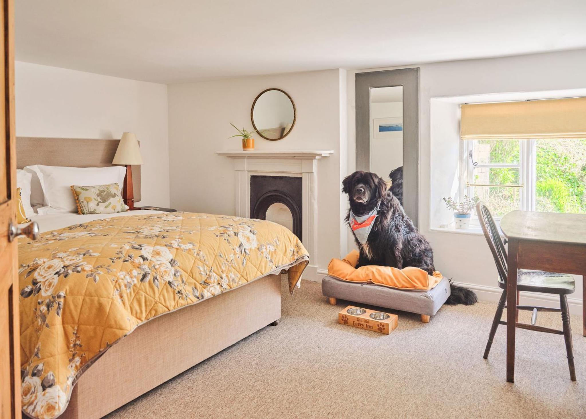 Family Junior Suite photo 3