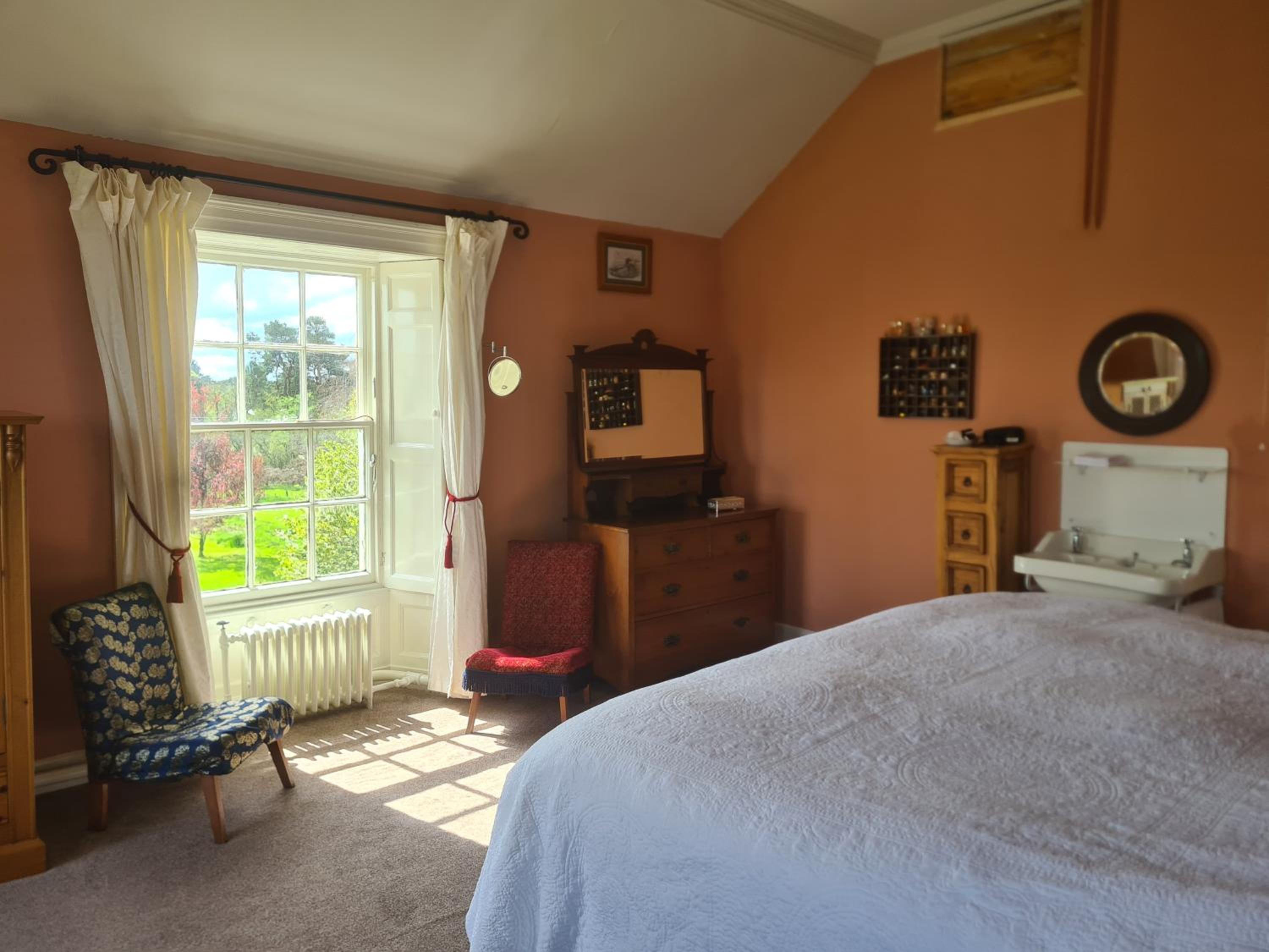 Deluxe King Room photo 3