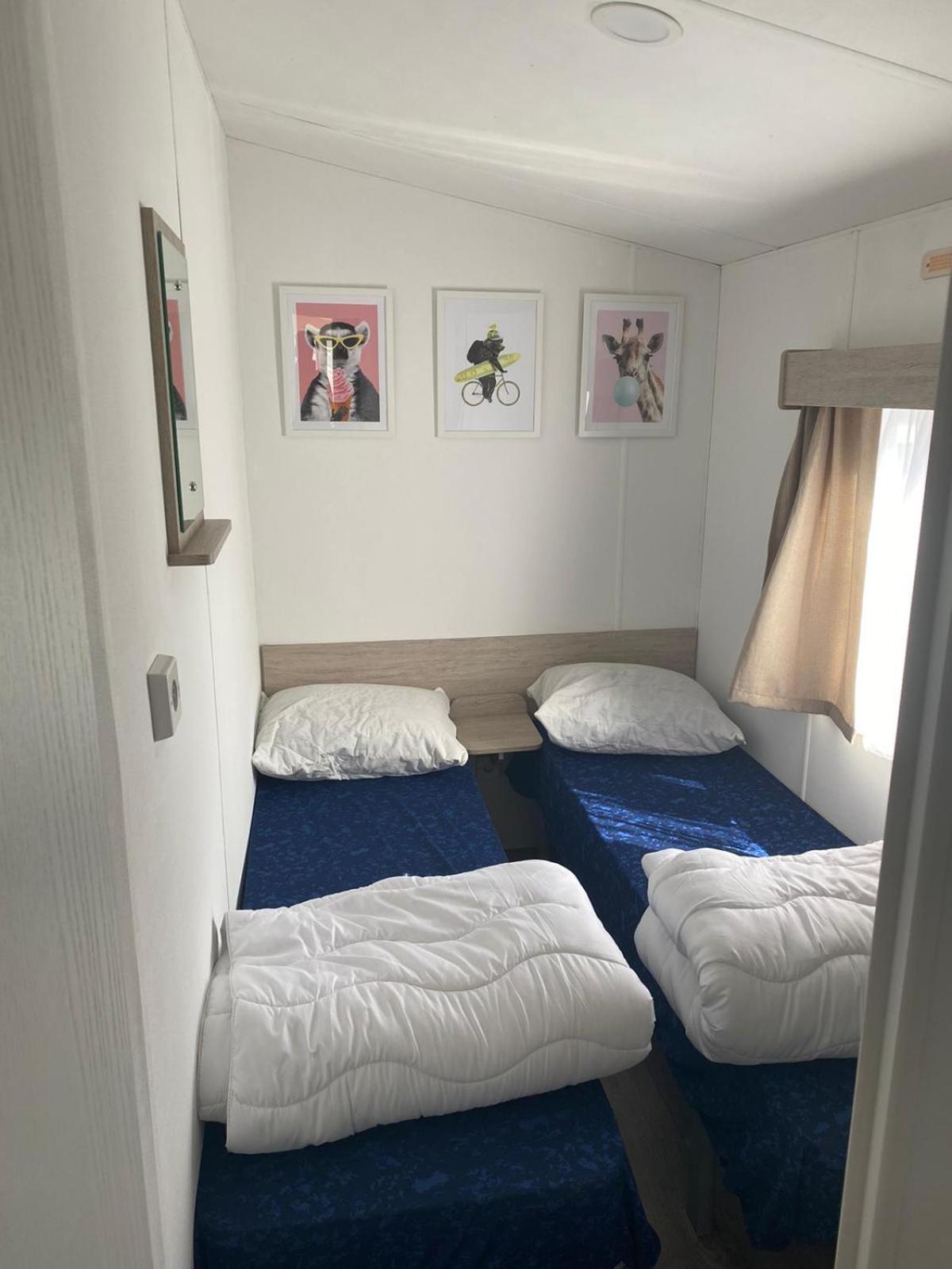 Three-Bedroom Chalet photo 3