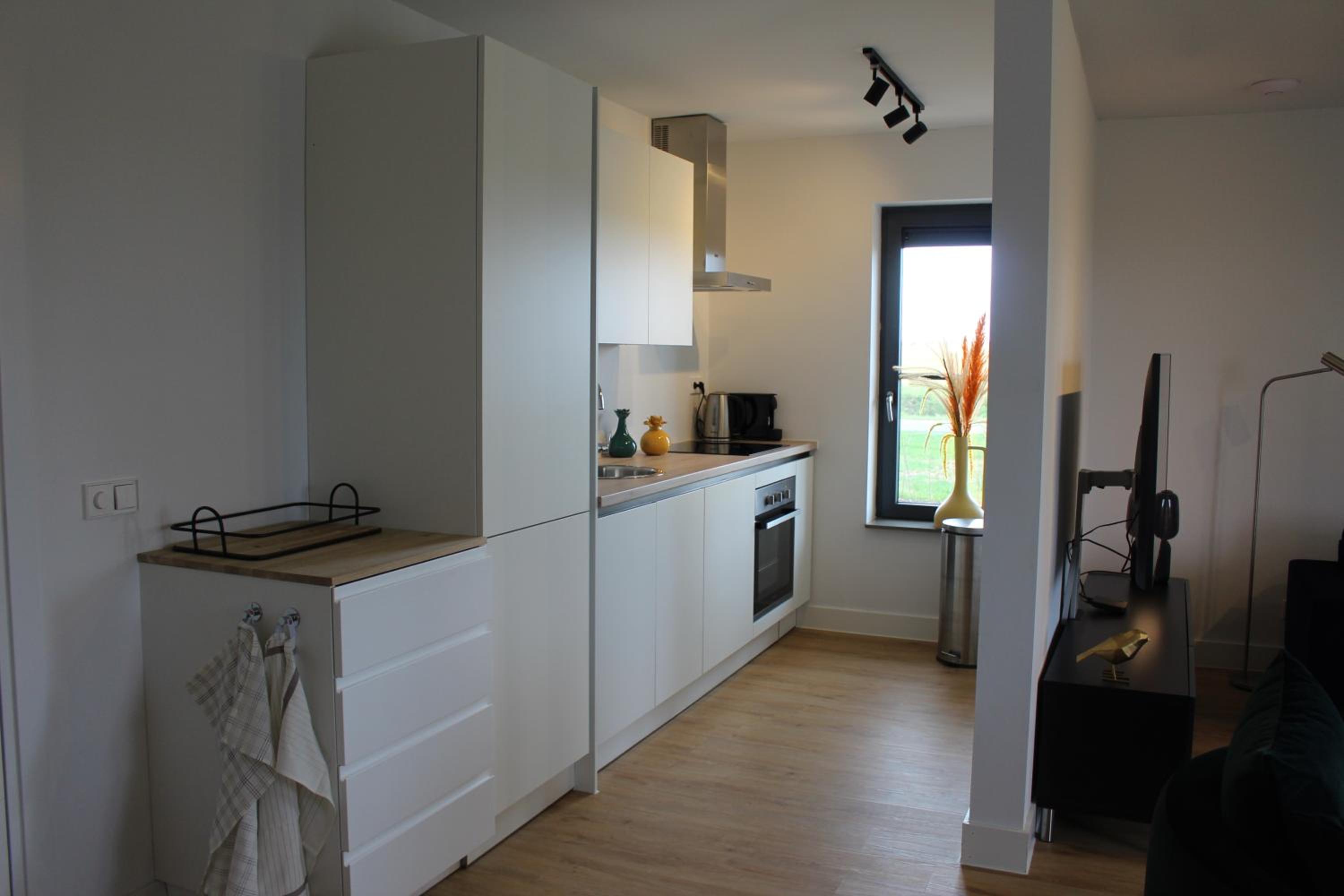 Two-Bedroom Apartment photo 3