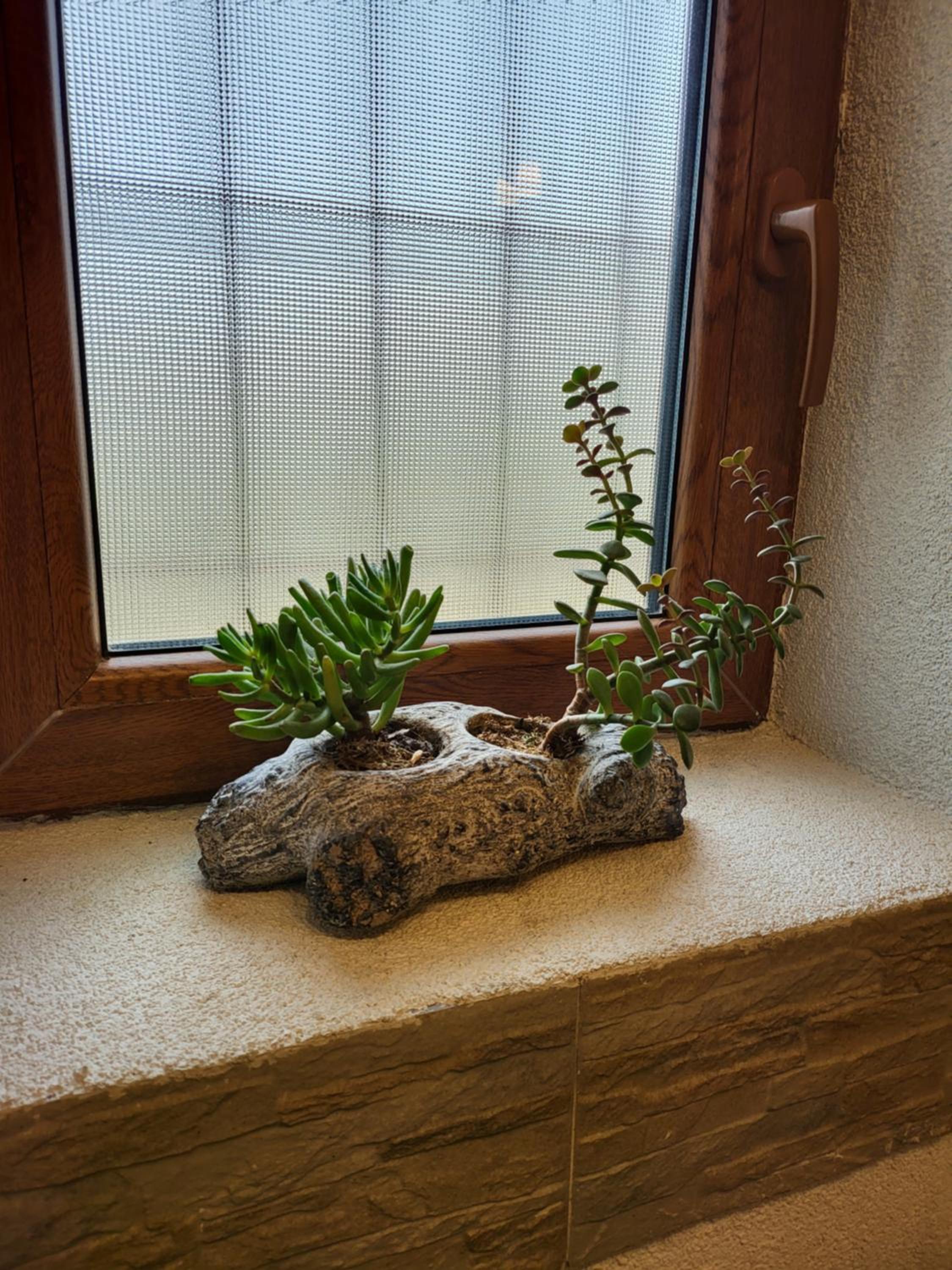 Villa - Photo 157