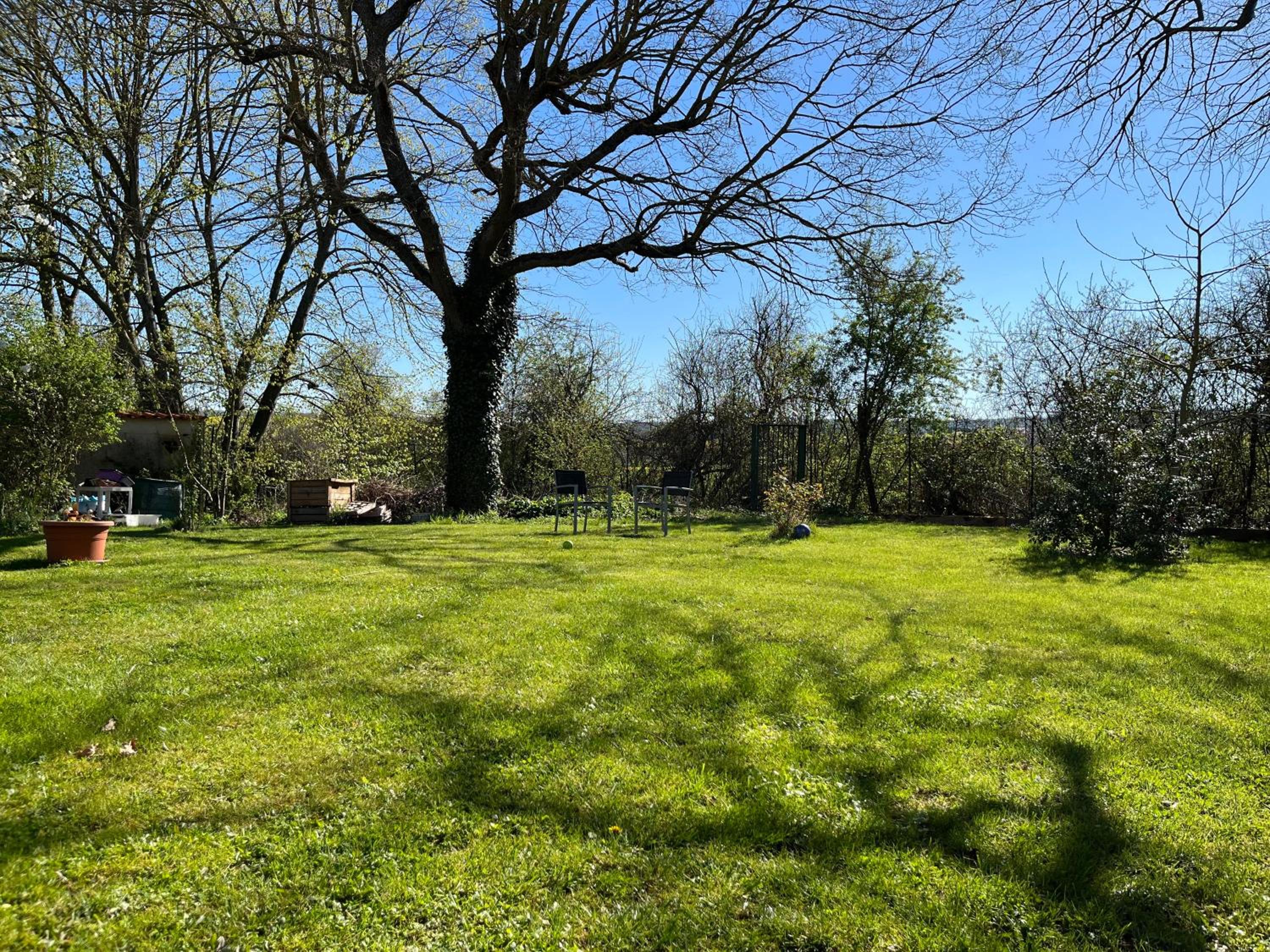 Apartment with Garden View - Photo 5