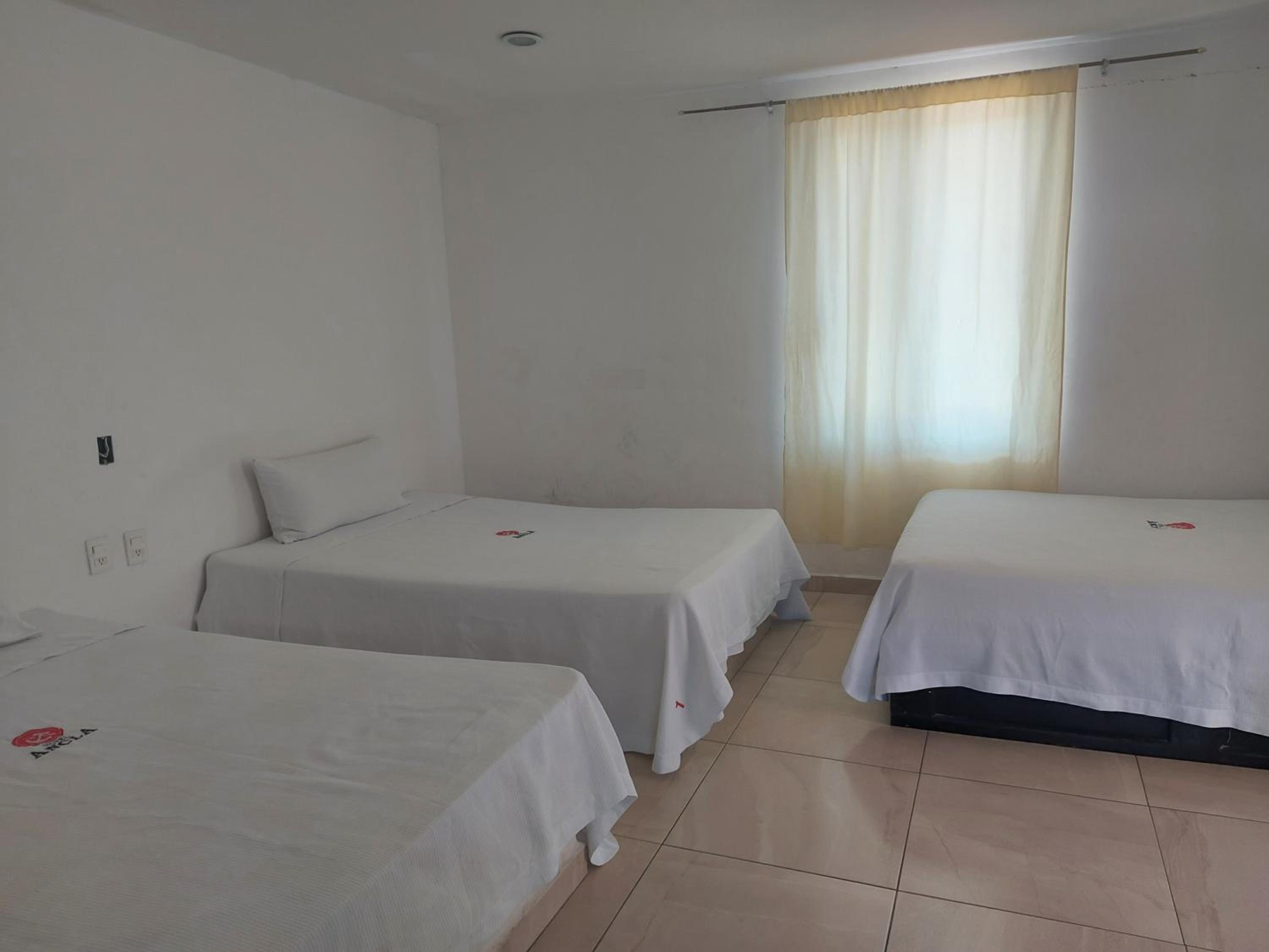 Triple Room photo 1