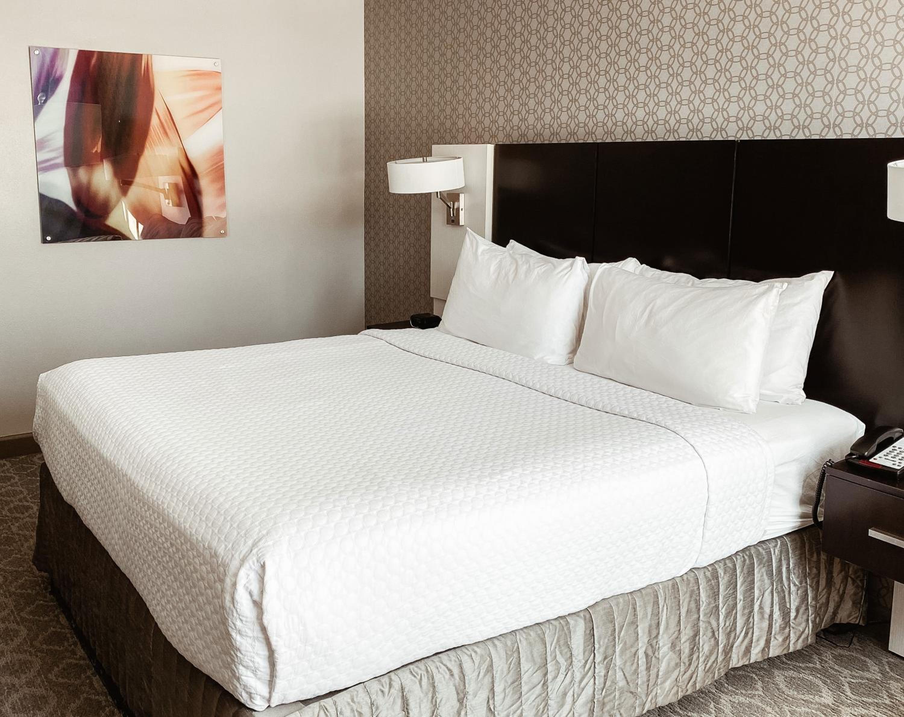 Standard King Room - Photo 7