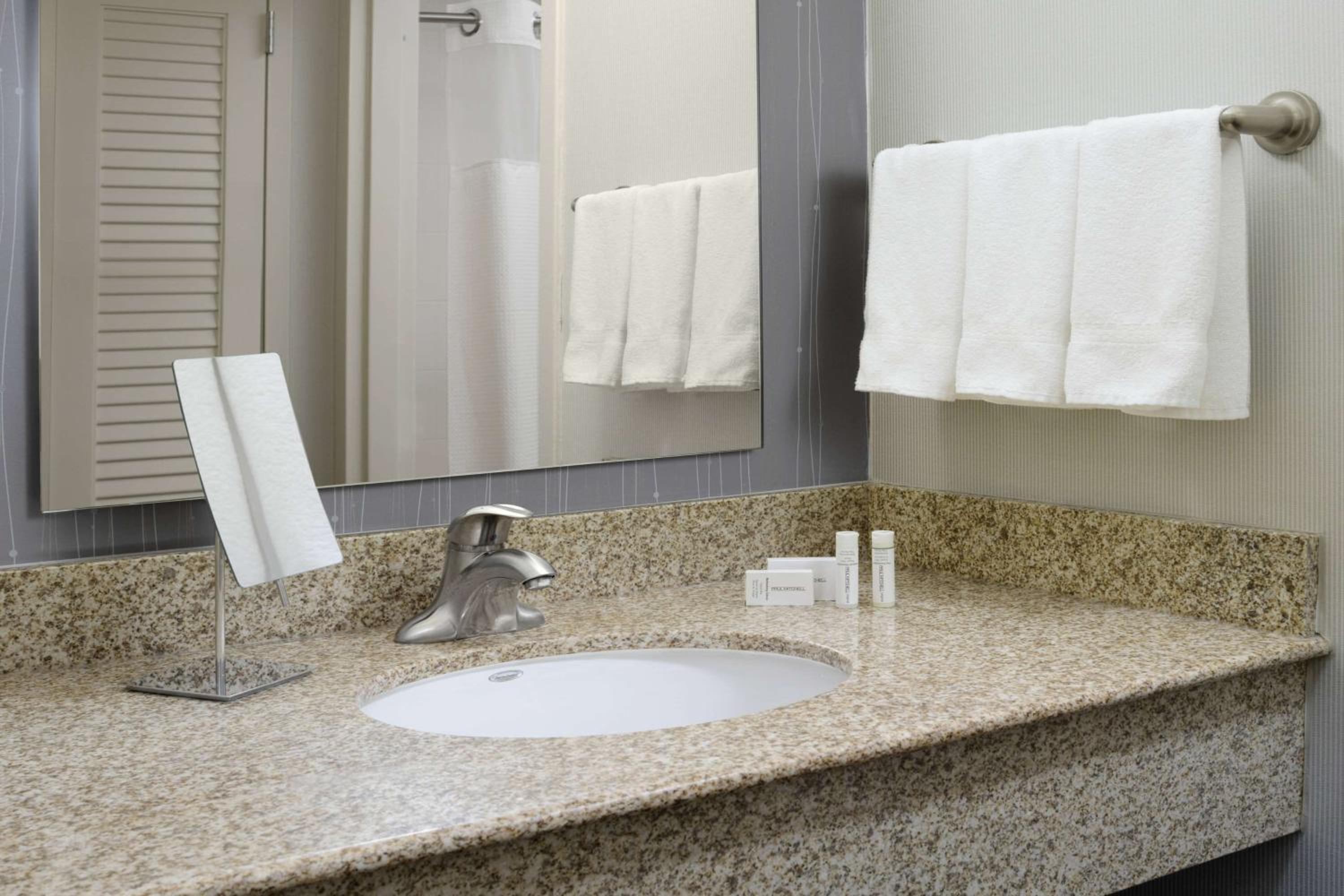 Mobility/Hearing Accessible Guestroom King Roll-In Shower photo 2