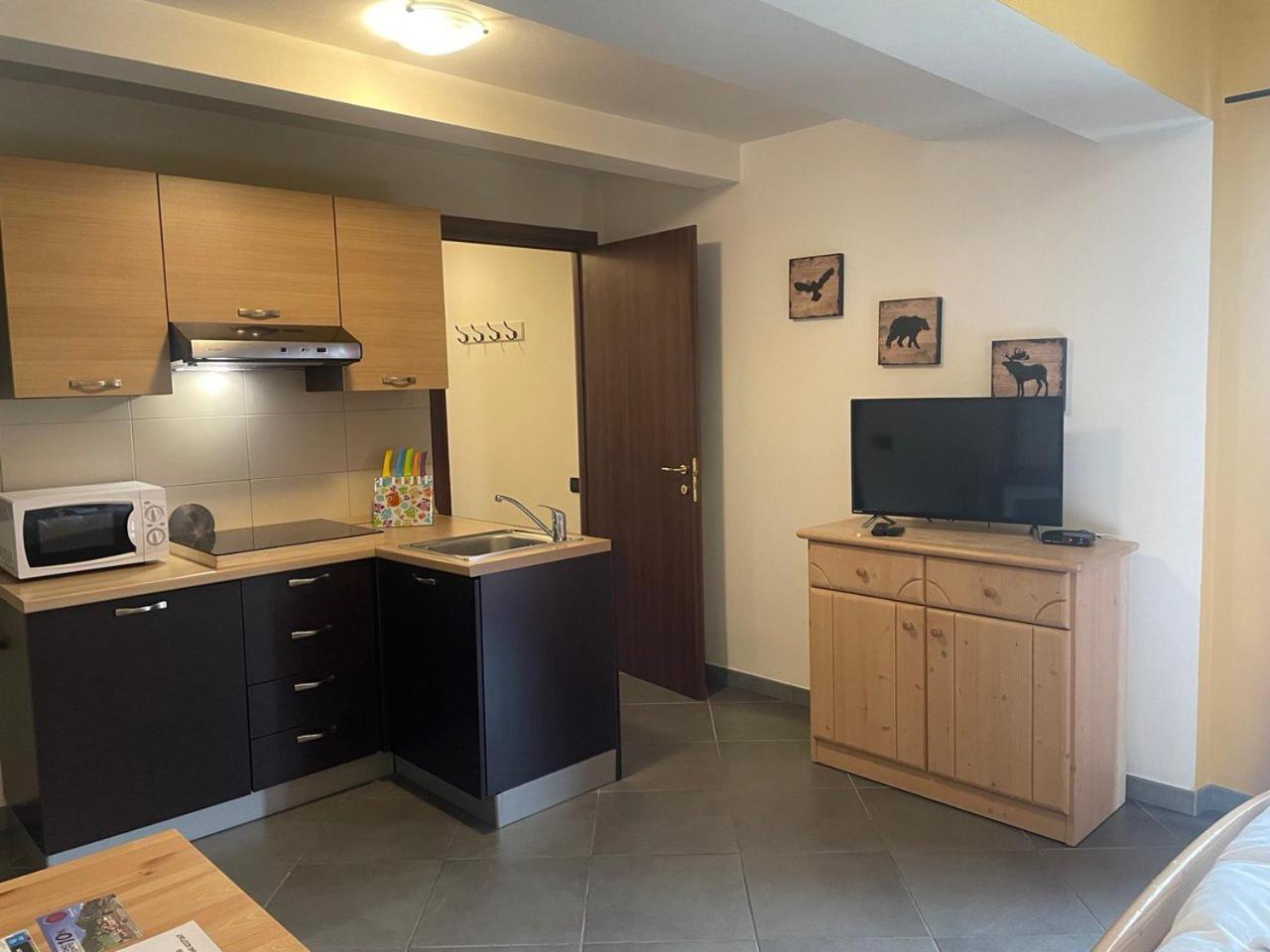Studio Apartment photo 3