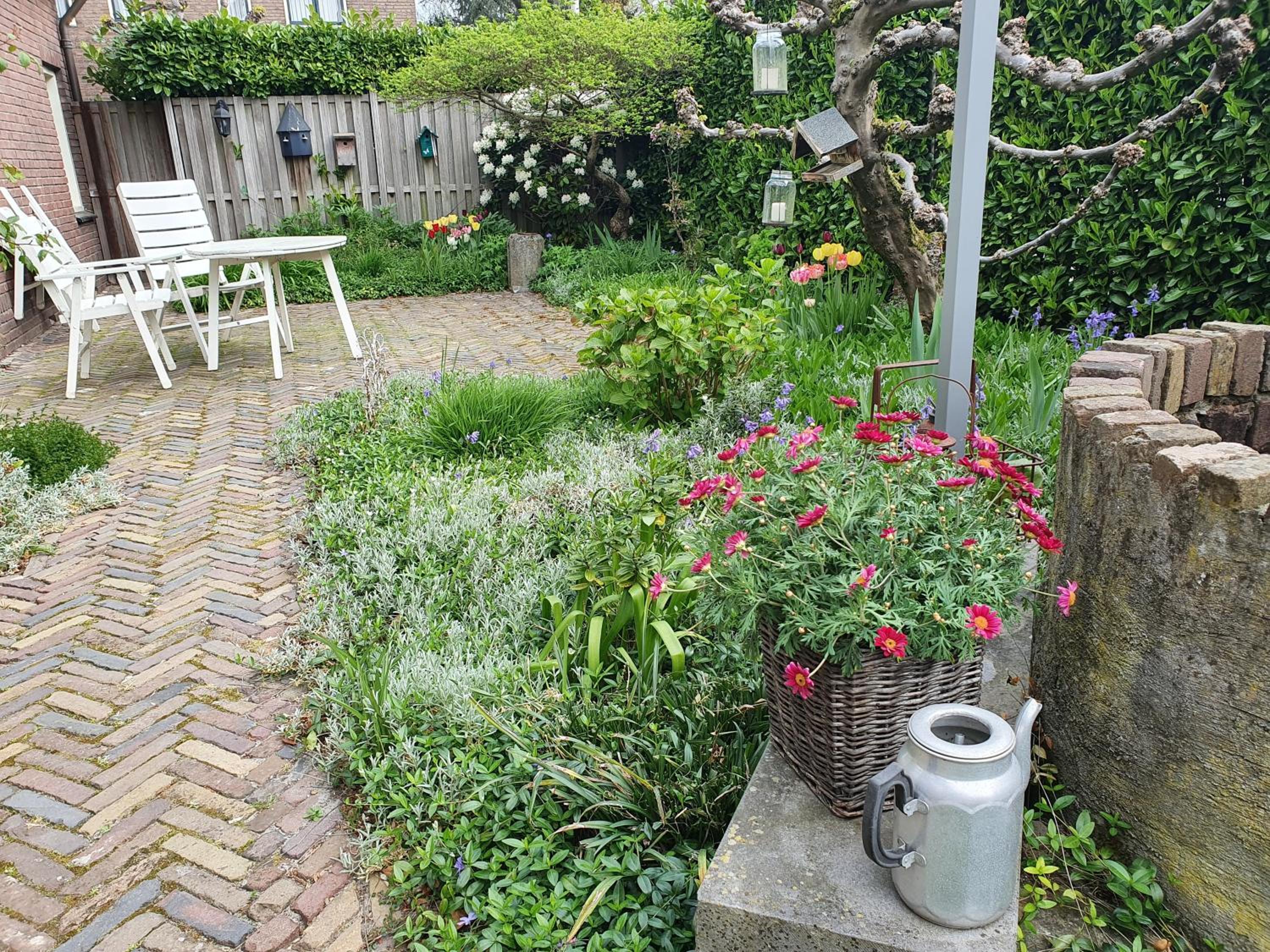 Quadruple Room with Terrace photo 2