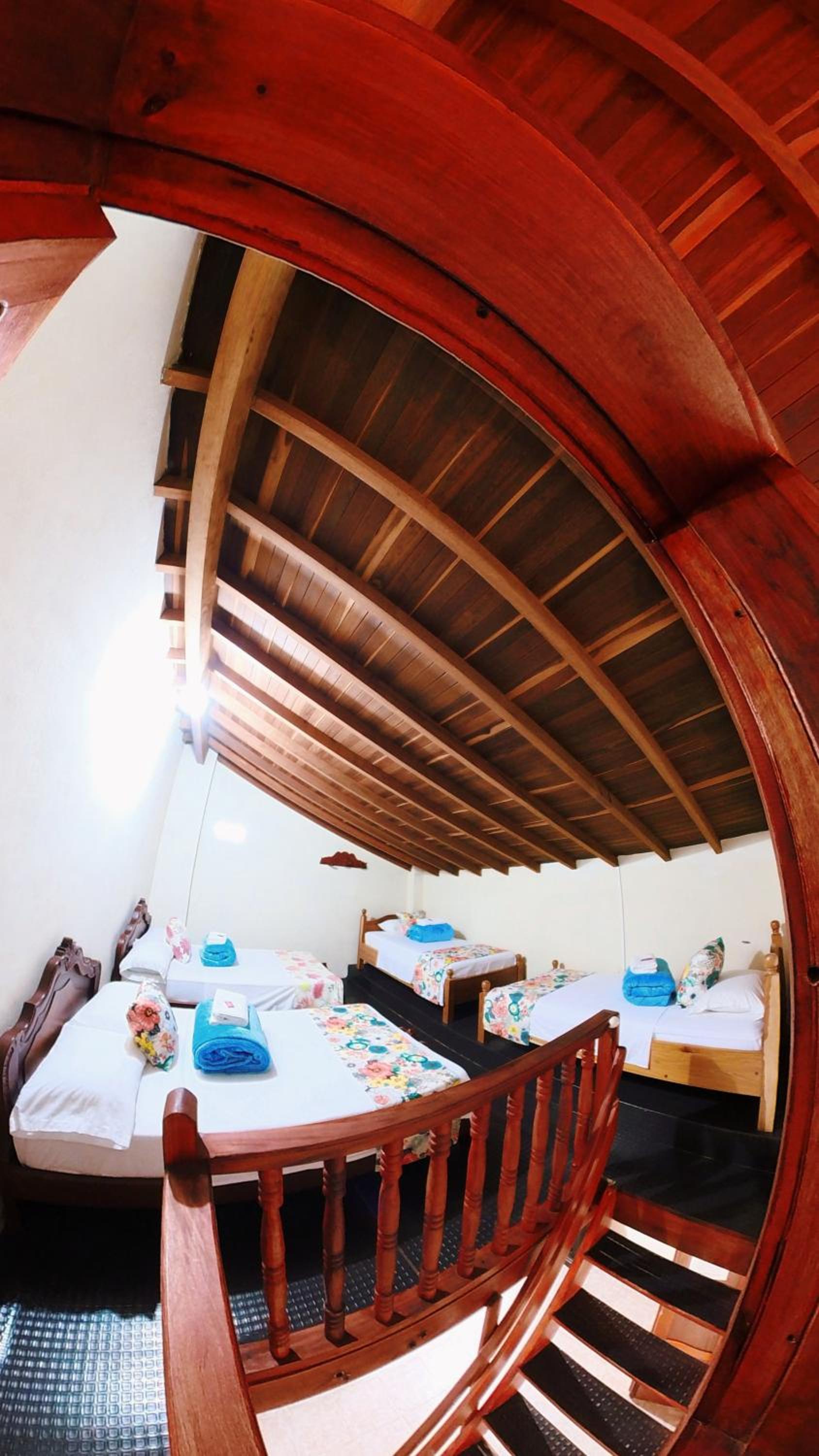 Single Bed in Mixed Dormitory Room