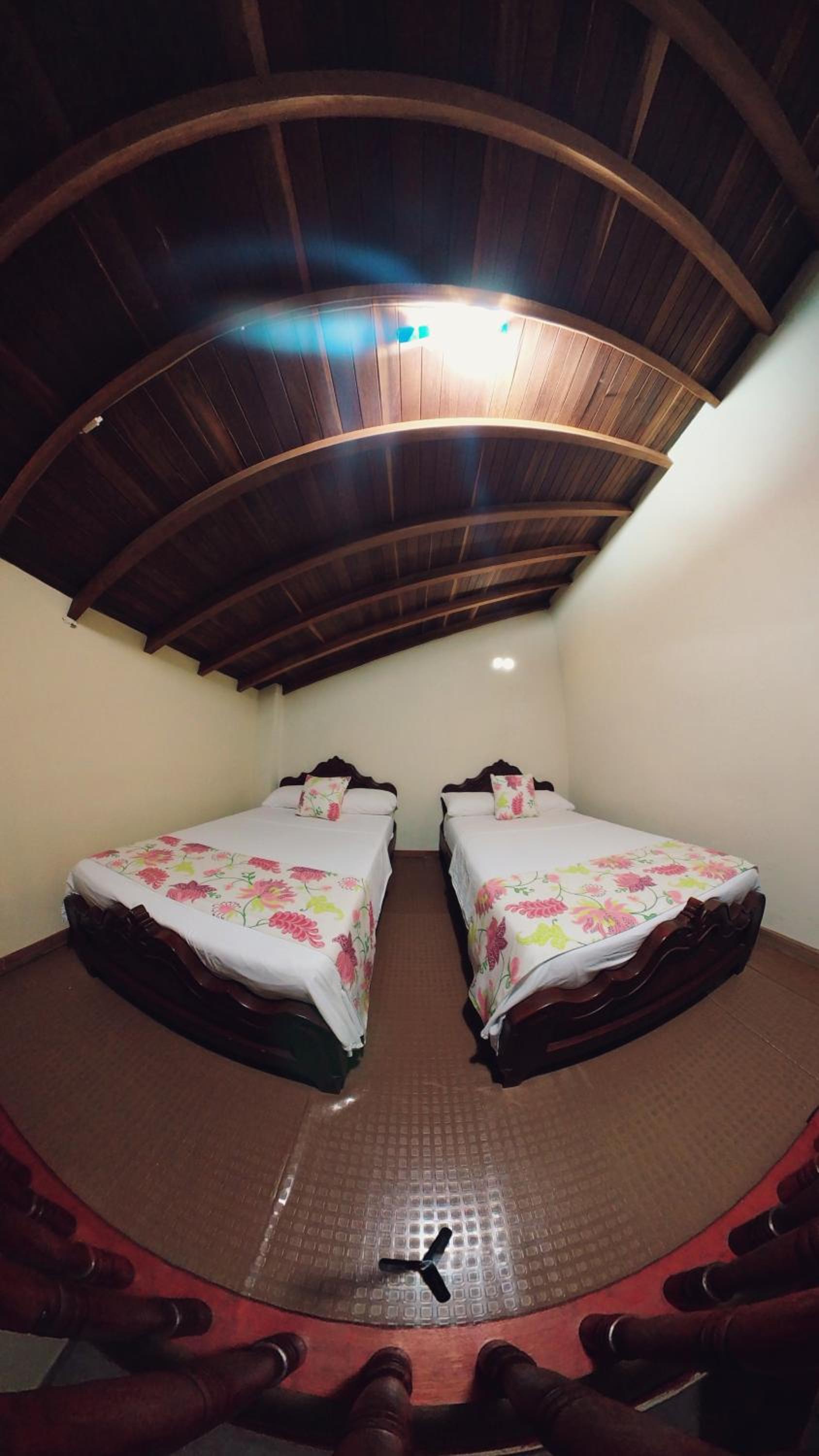 Single Bed in Female Dormitory Room