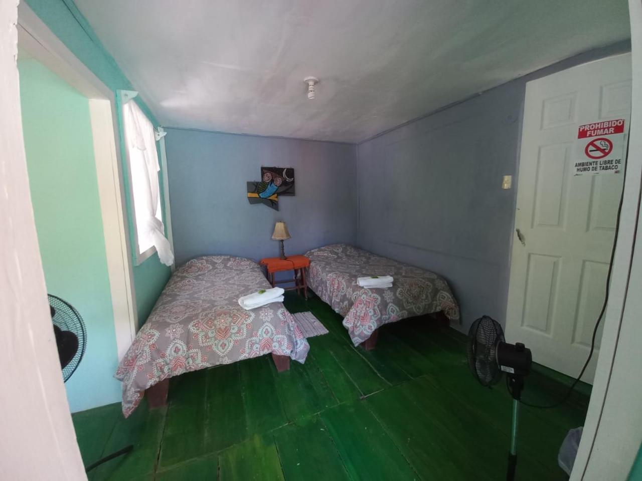 Double or Twin Room photo 1