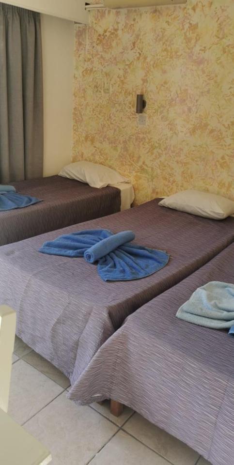 Studio (3 Adults)
