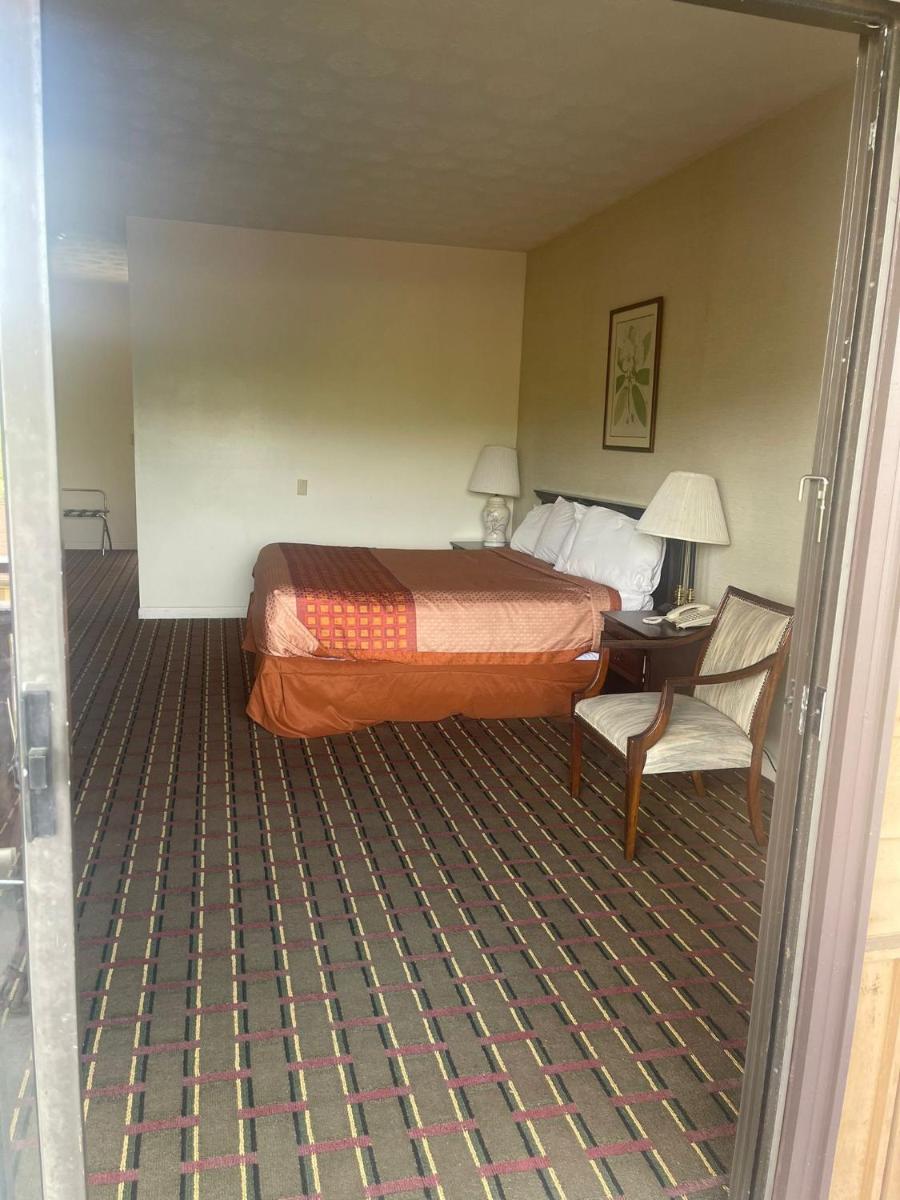King Room - Non-Smoking photo 3