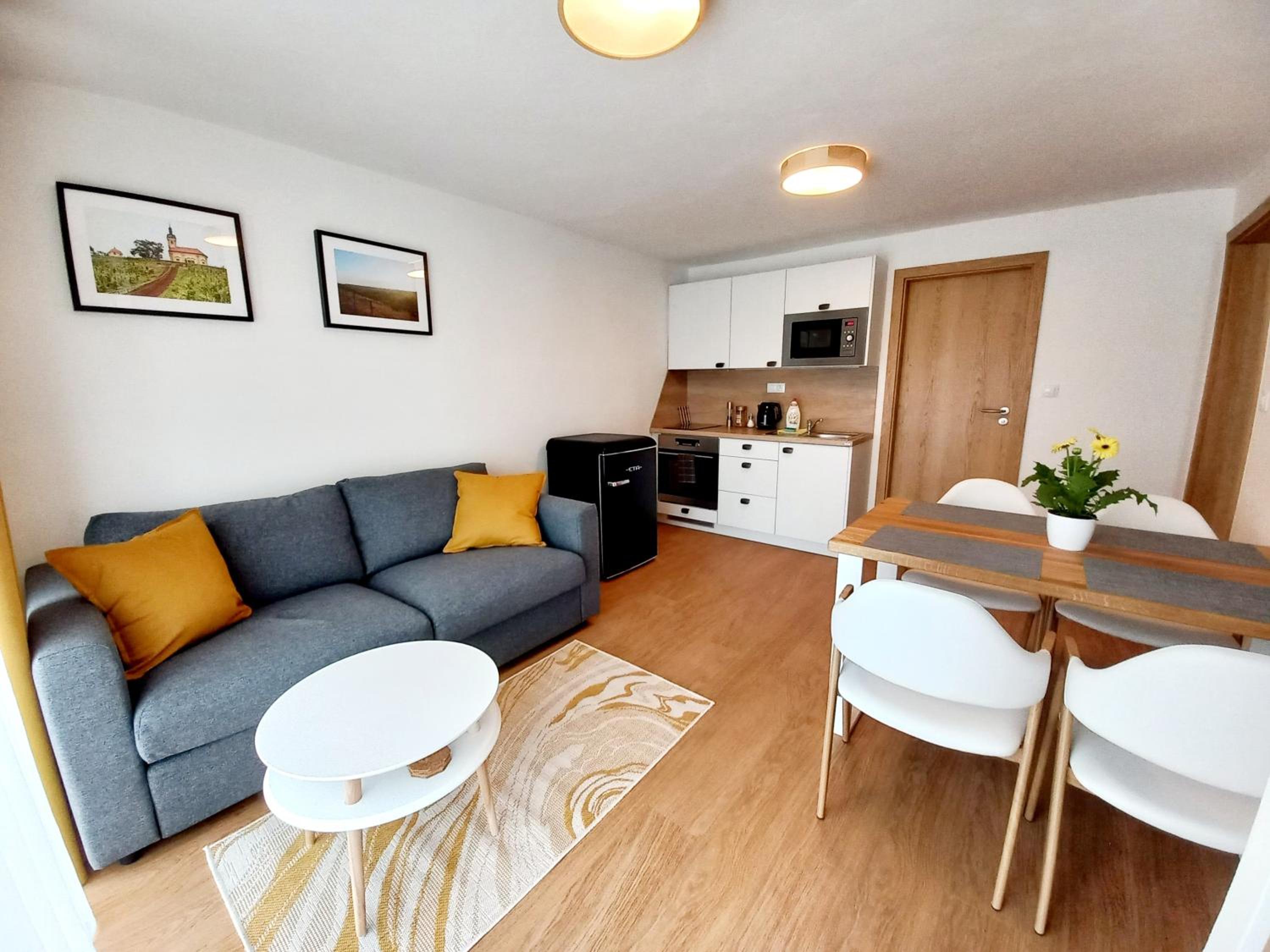 Apartment with Terrace photo 3