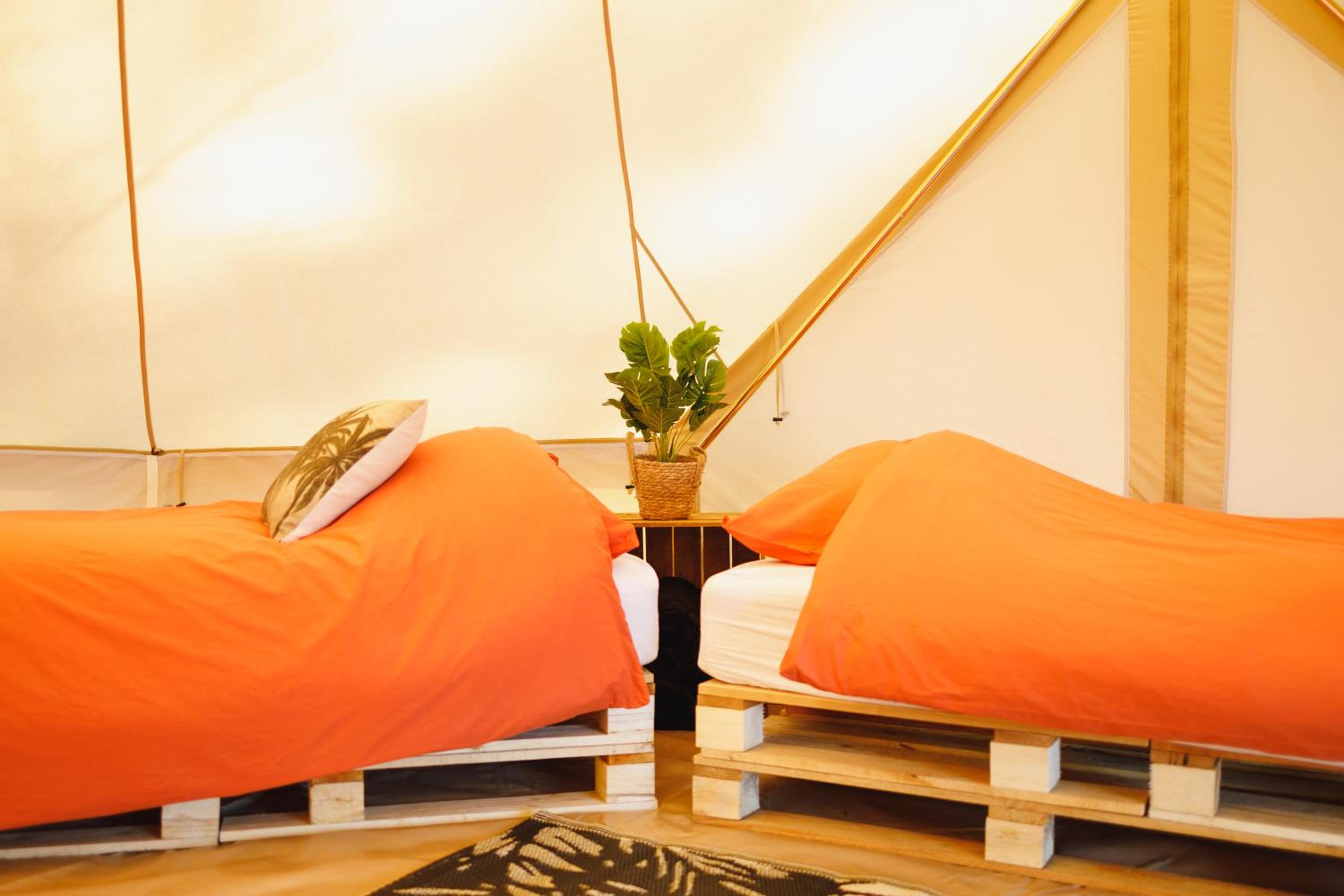 Tent photo 2