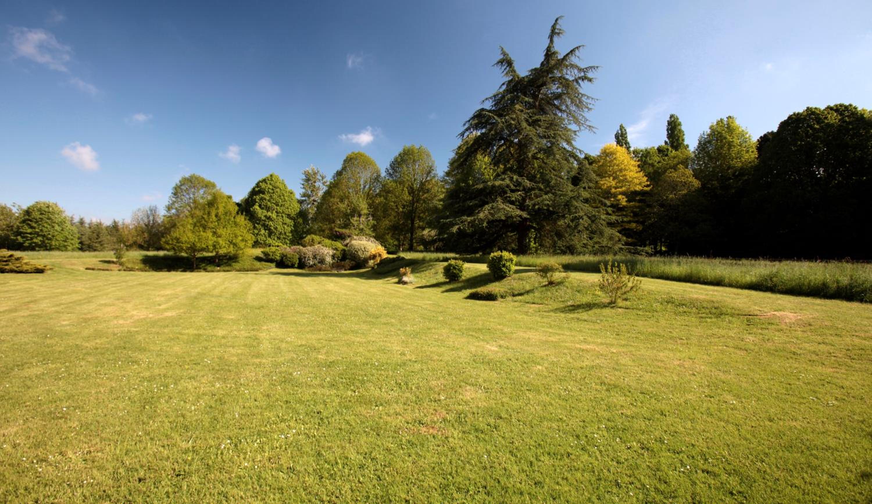 Double Room with Garden View photo 2