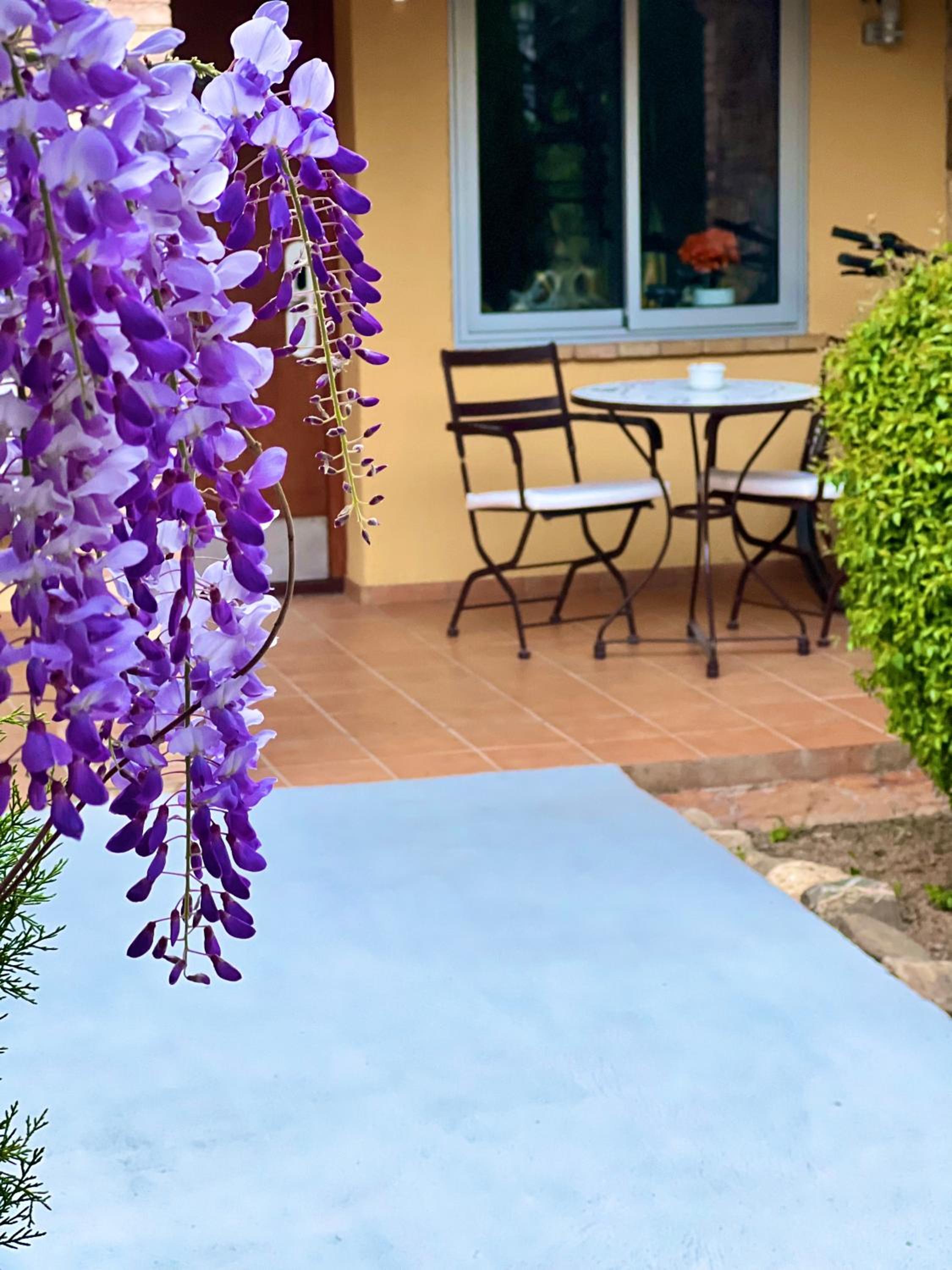 Double Room with Terrace - Photo 12