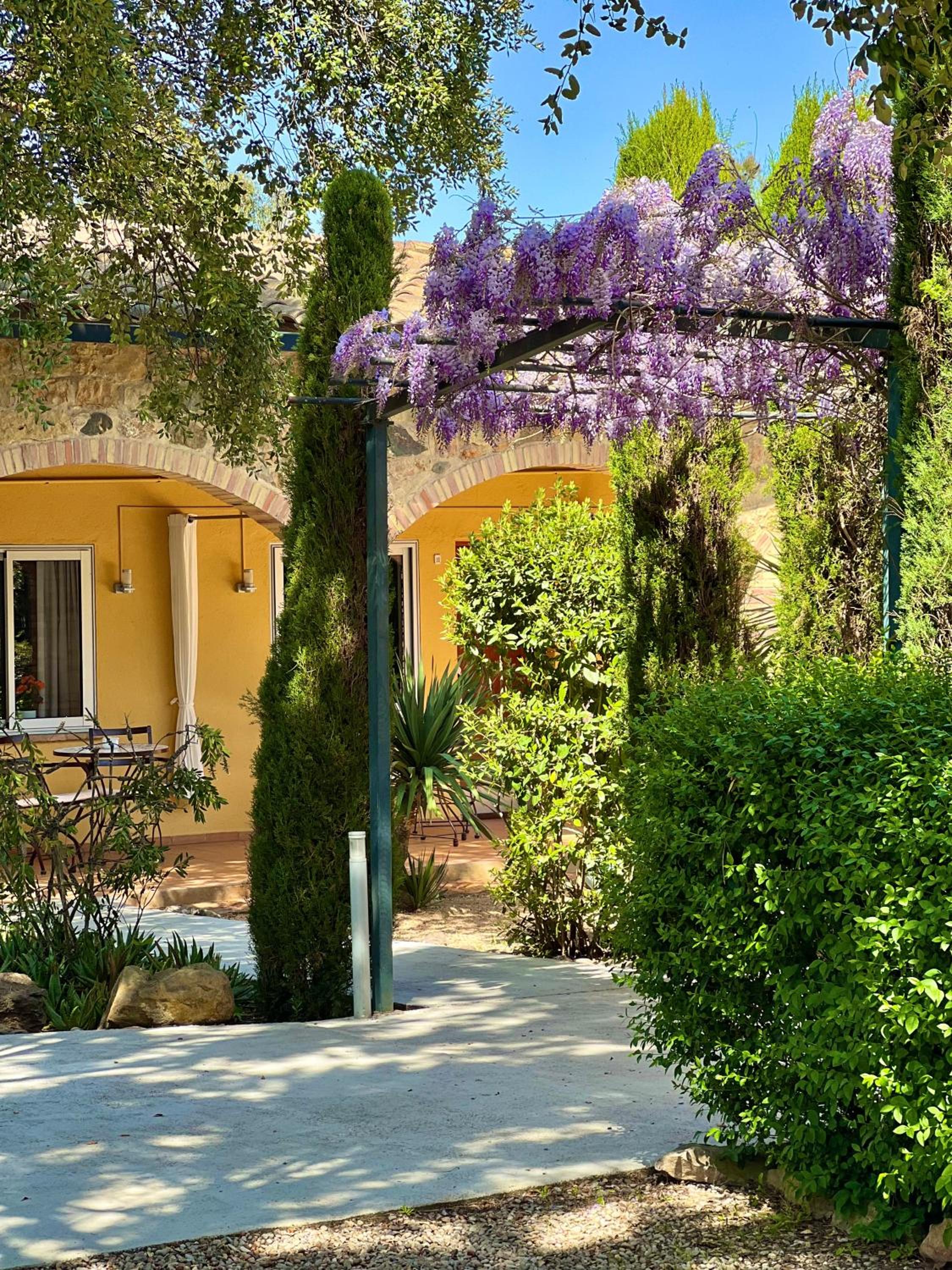 Double Room with Terrace - Photo 16