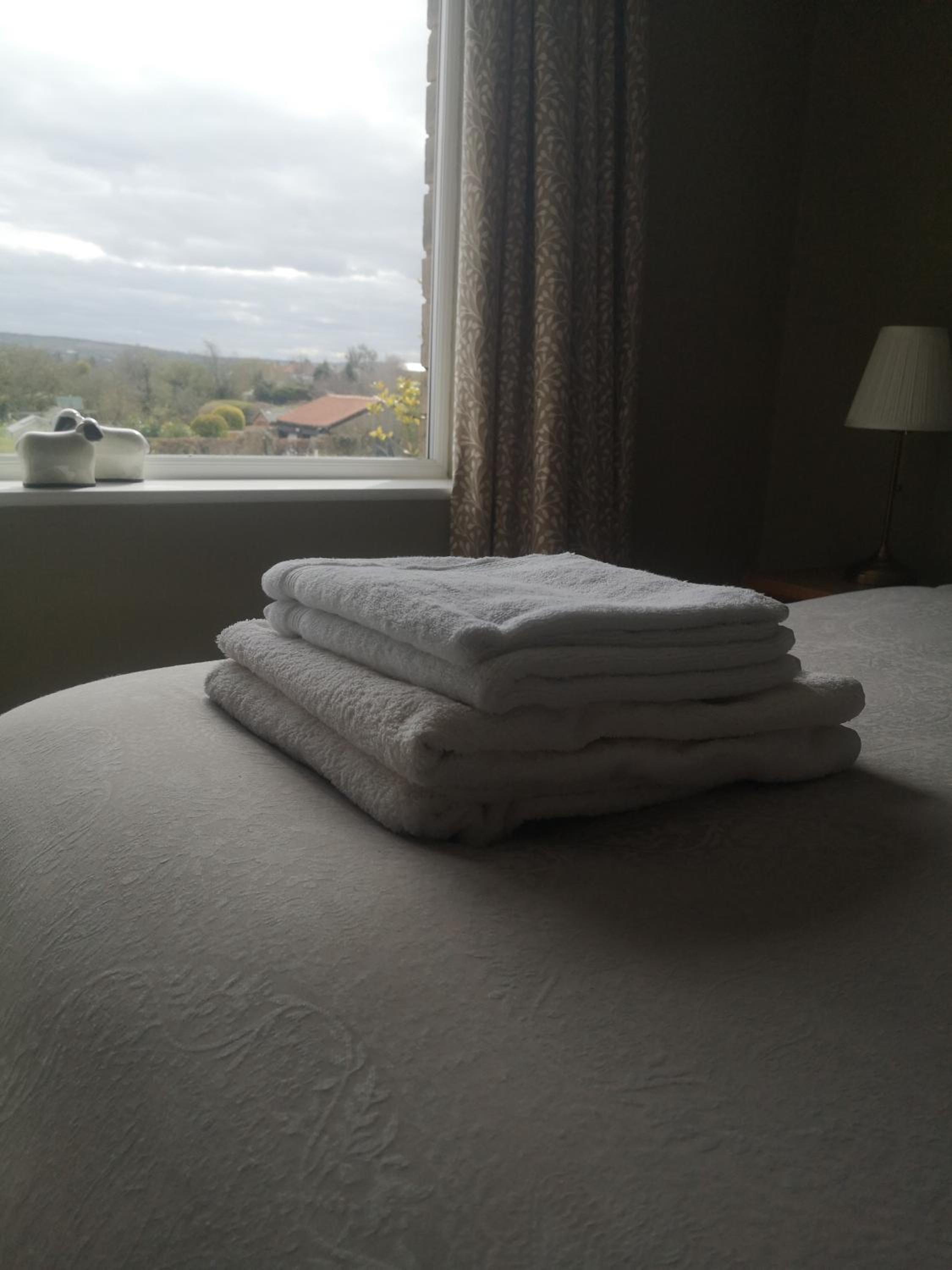 King Room with Garden View photo 2