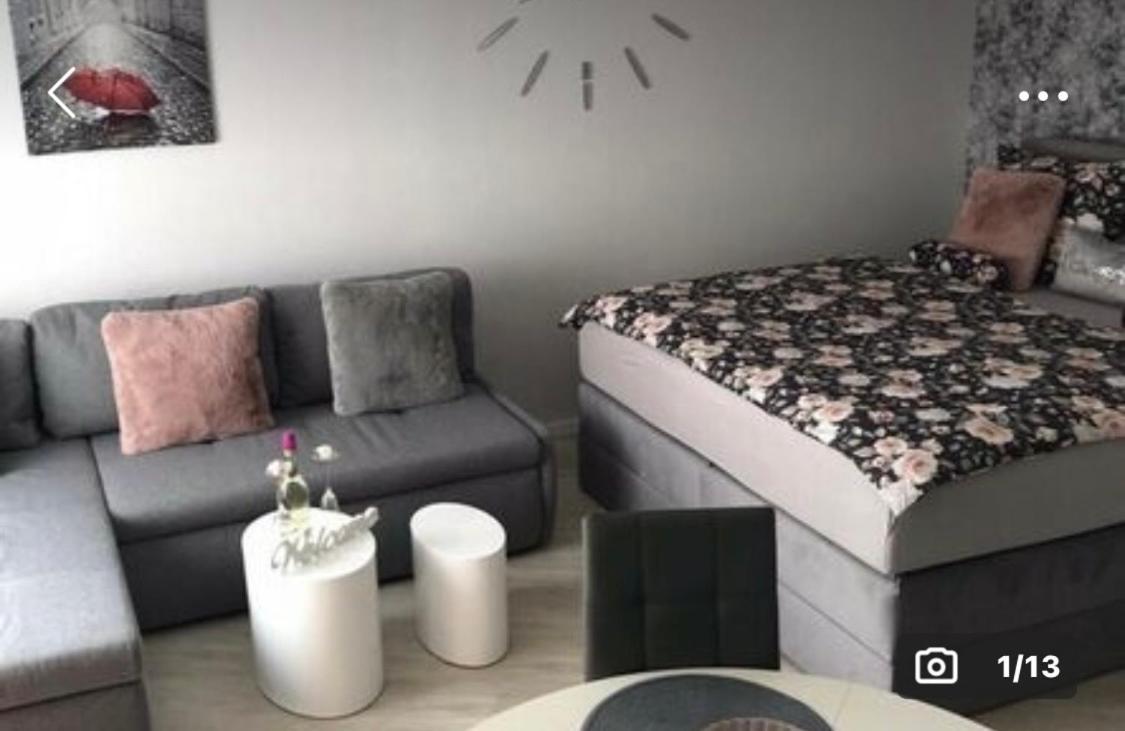 Studio with Sofa Bed photo 2