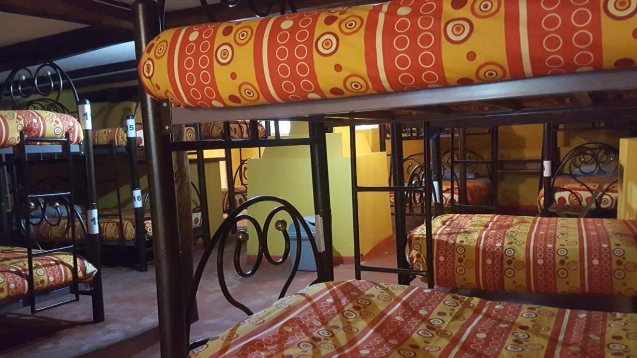 Bunk Bed in Mixed Dormitory Room photo 1