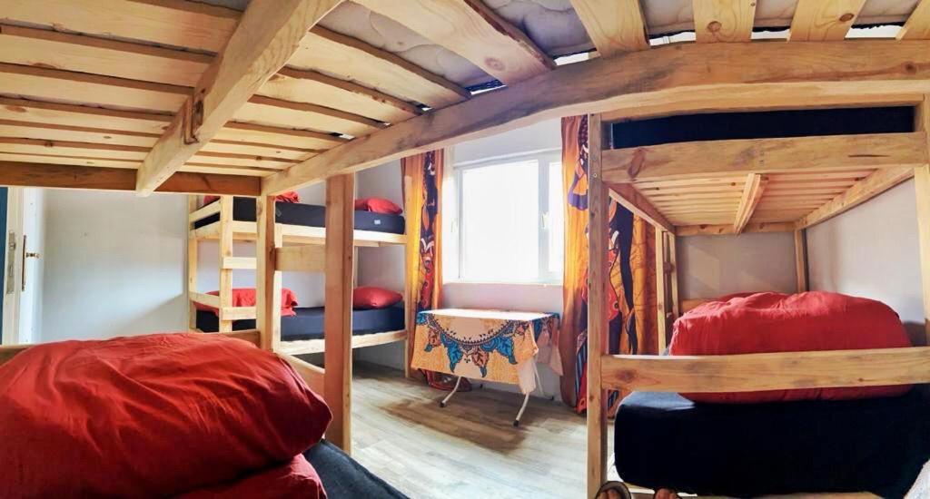Bed in 6-Bed Mixed Dormitory Room photo 3