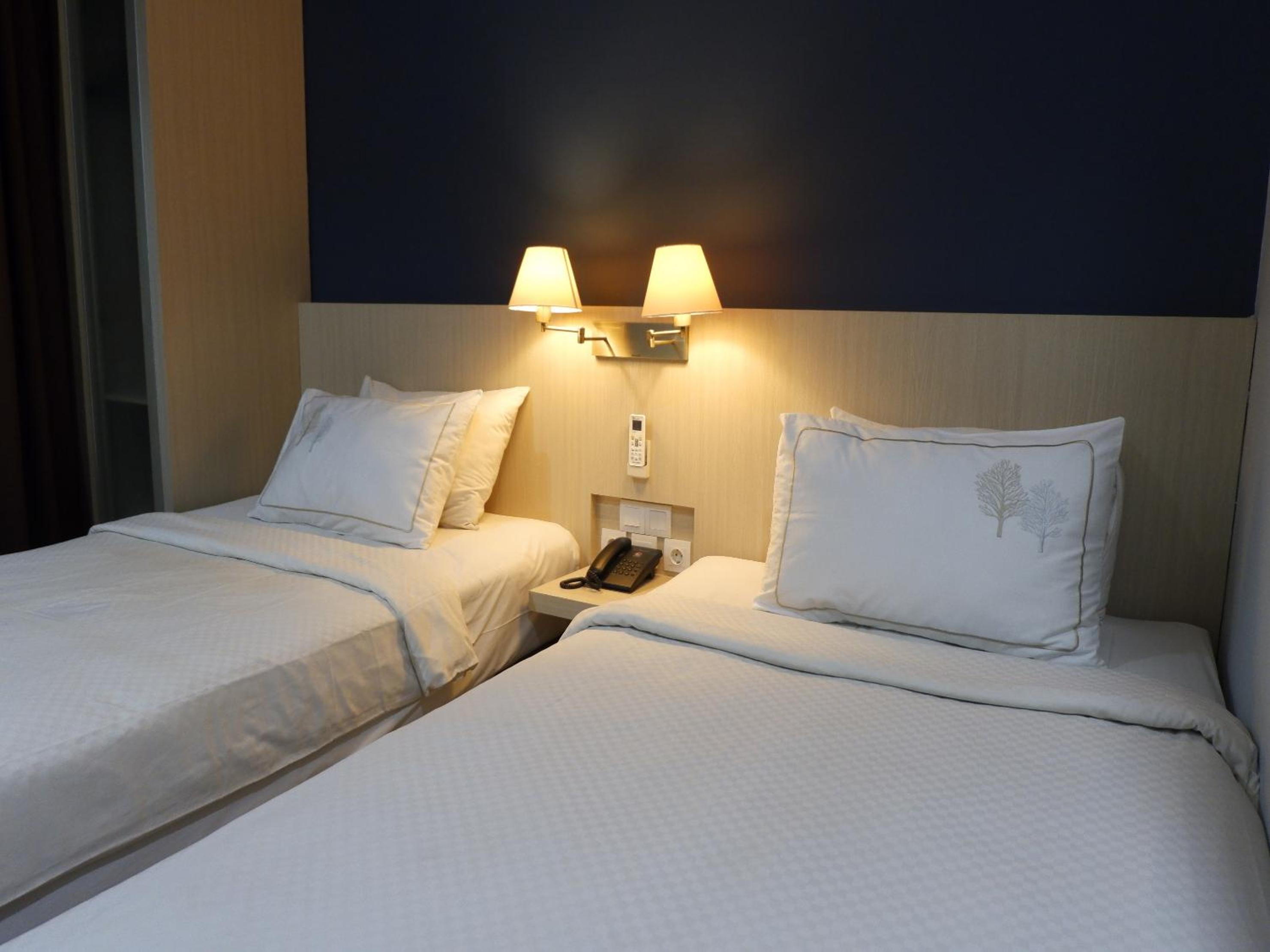Deluxe Twin Room photo 1