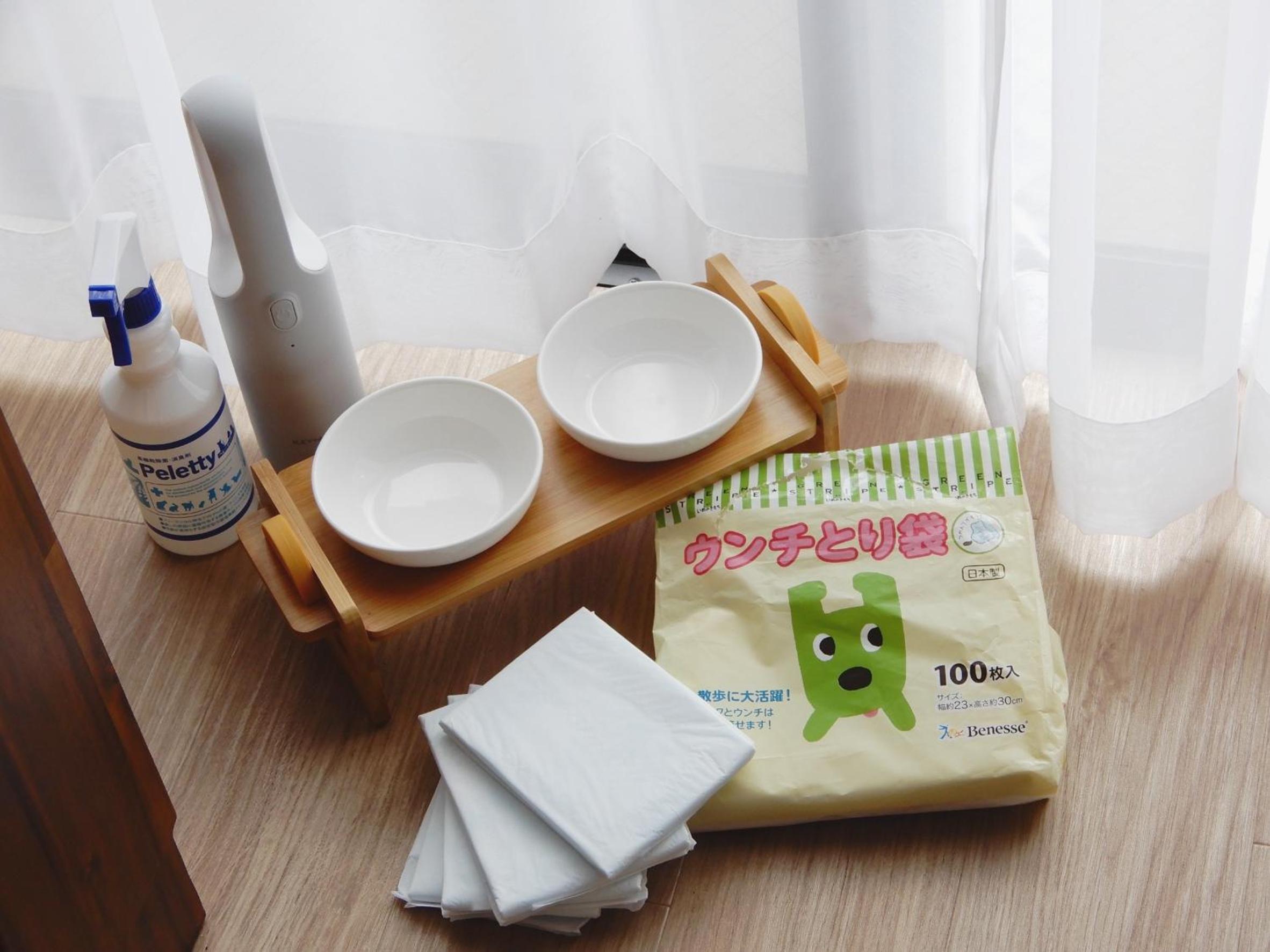 Studio Apartment - Pet Friendly - No Cleaning for Consecutive Night Stays