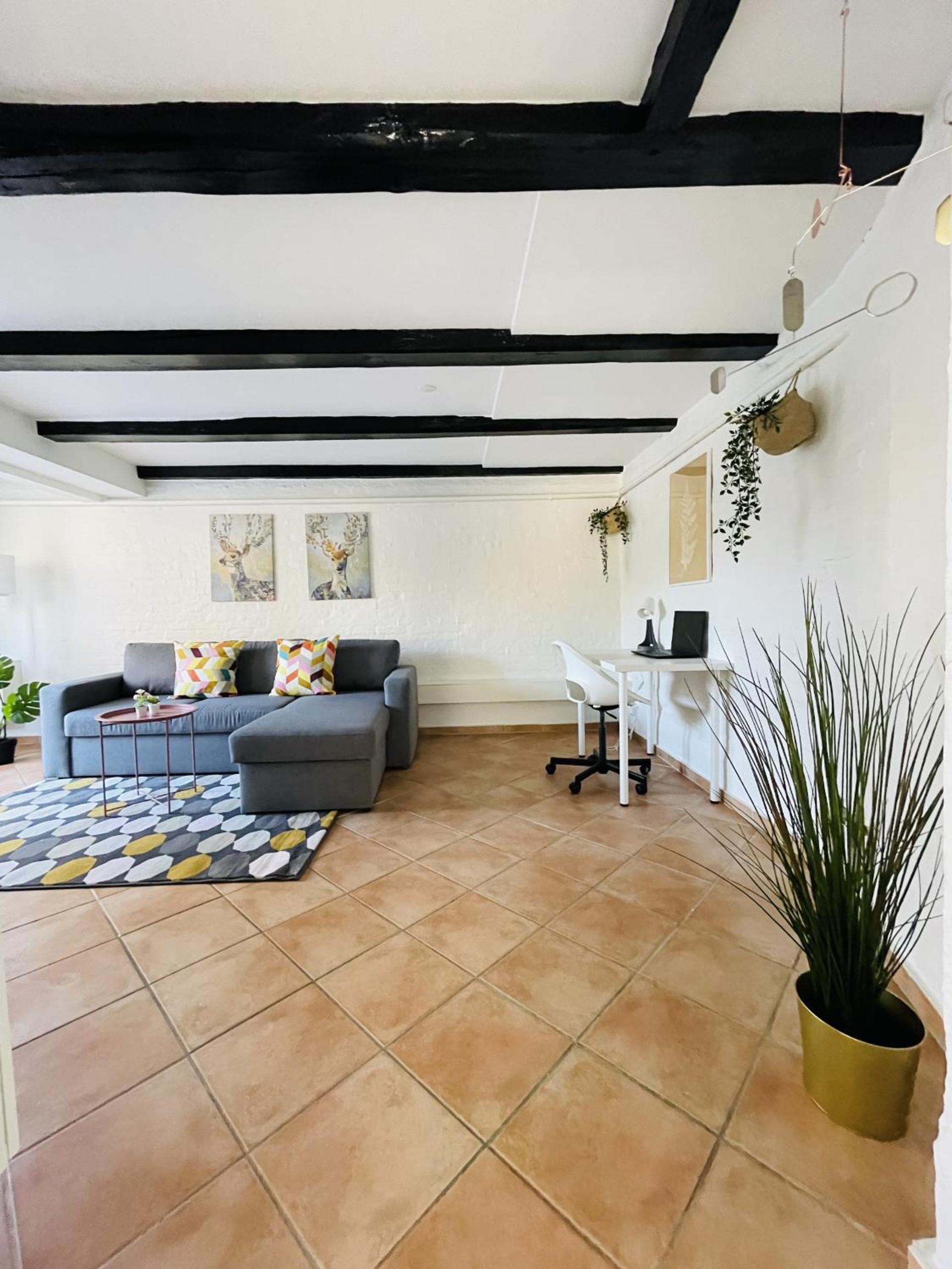 Apartment with Terrace photo 1