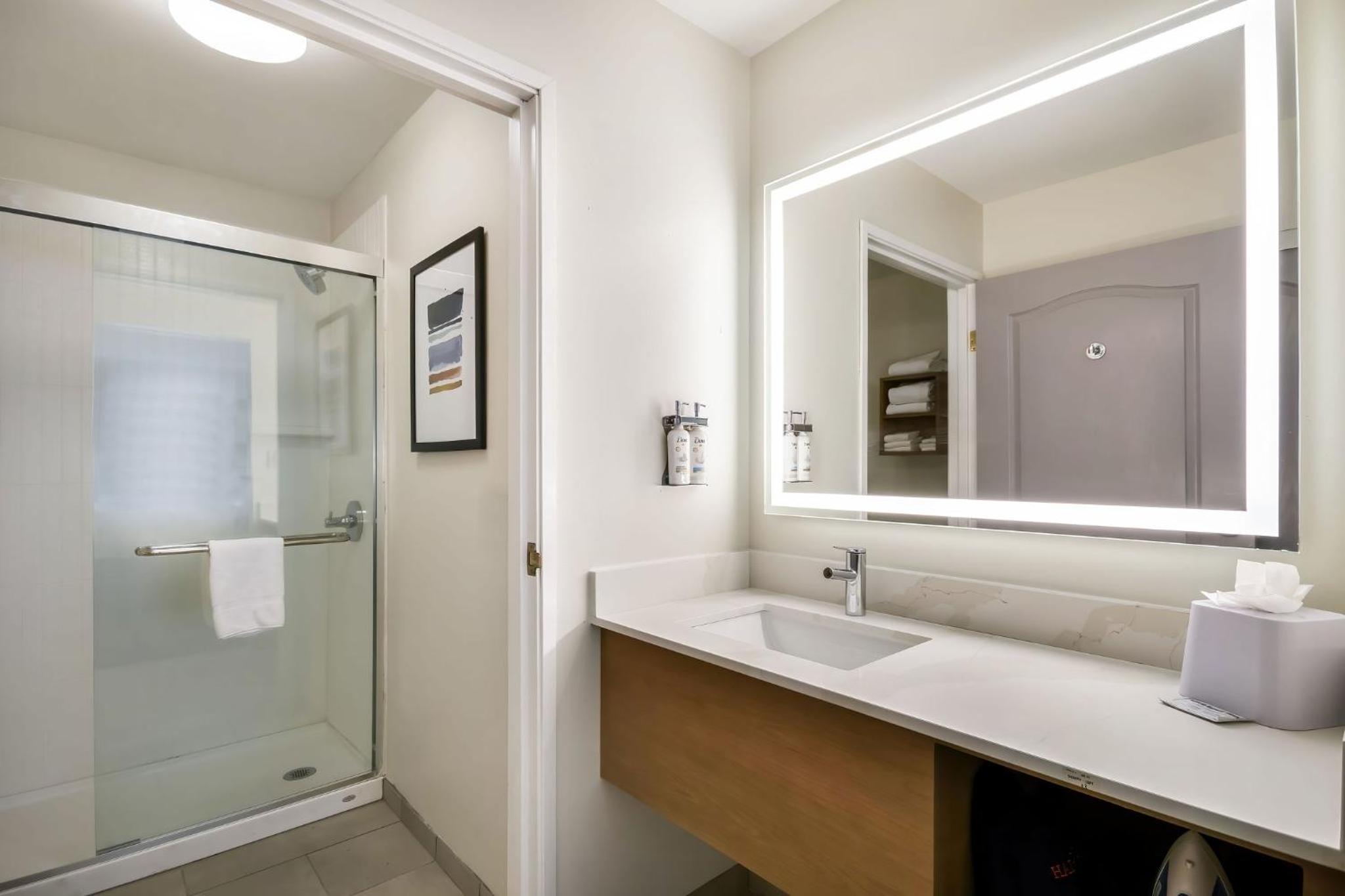 One-Bedroom King Suite