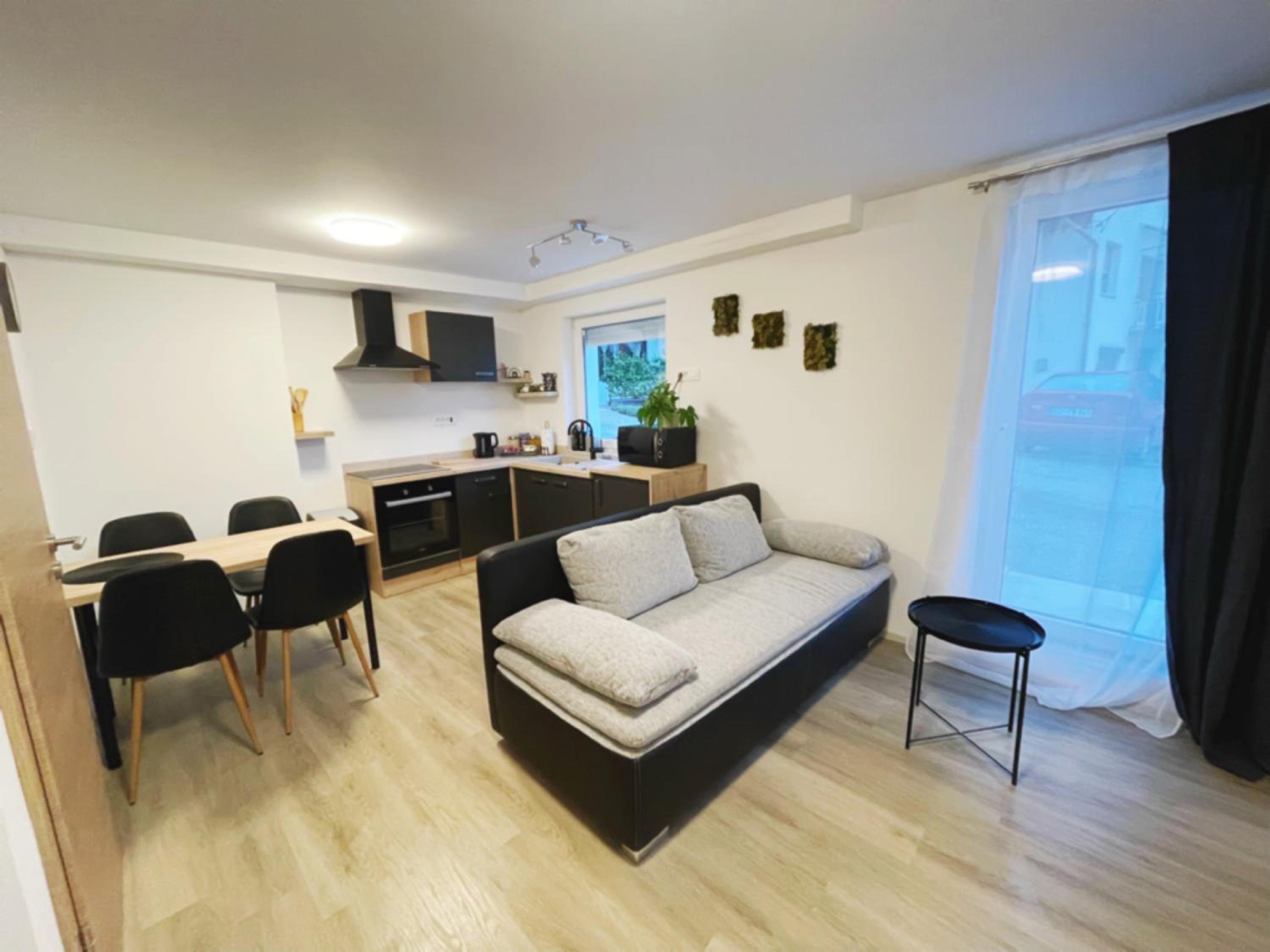 One-Bedroom Apartment photo 3