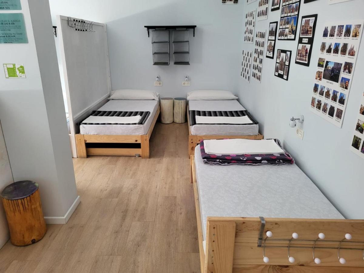 Single Bed in Mixed Dormitory Room