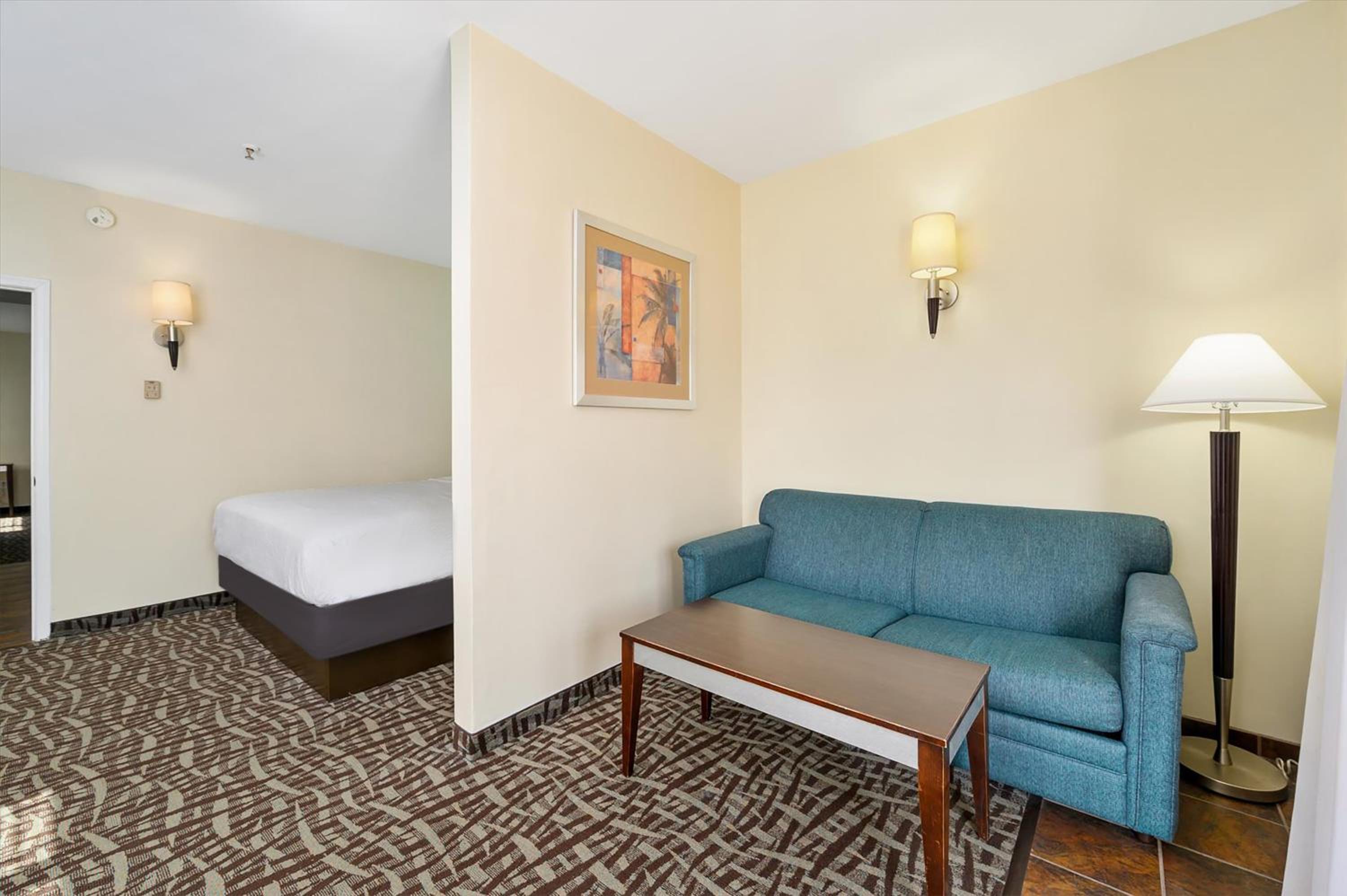Deluxe One-Bedroom Suite - Pet-Friendly photo 2