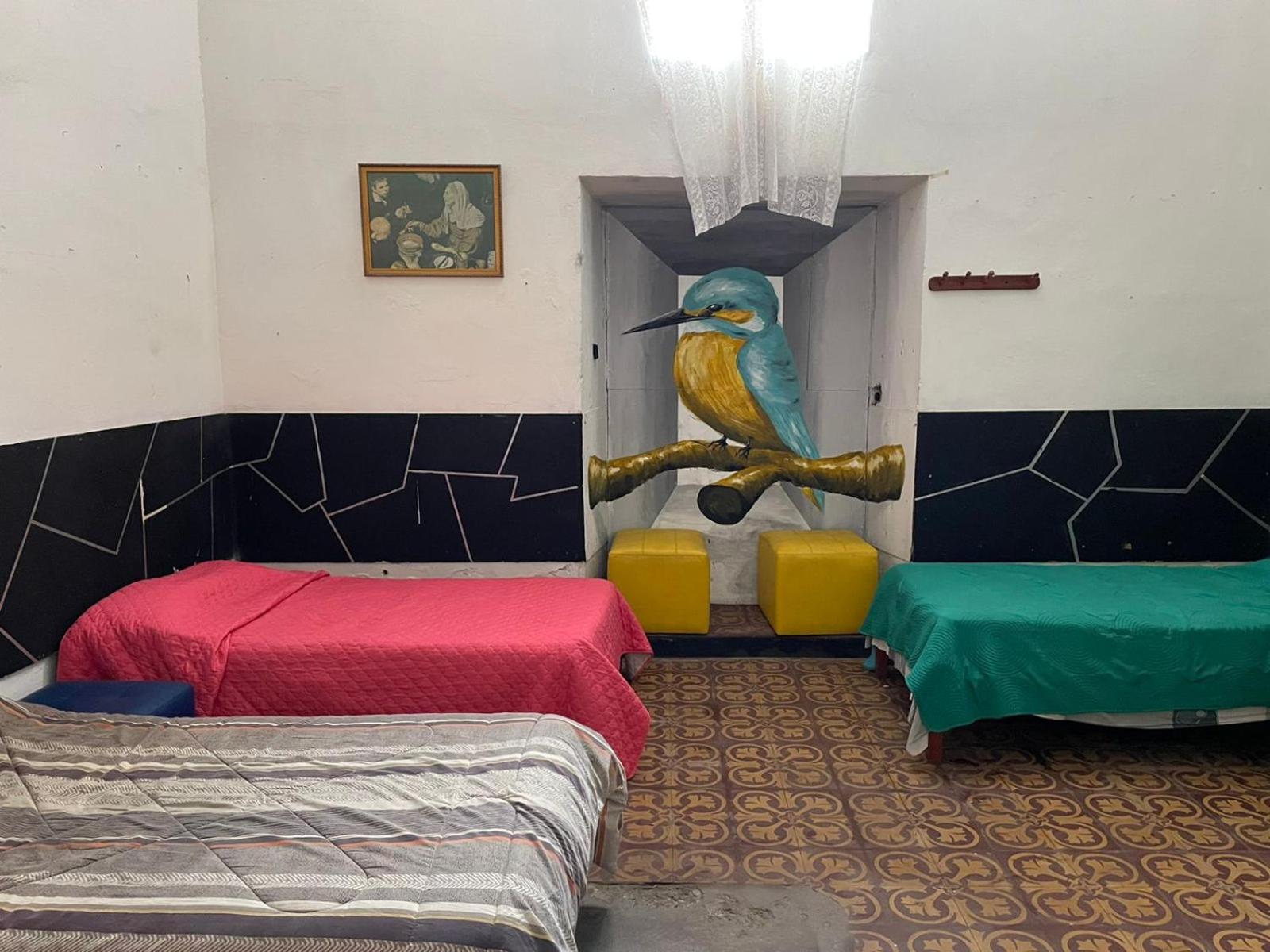 Mixed Dormitory Room photo 2