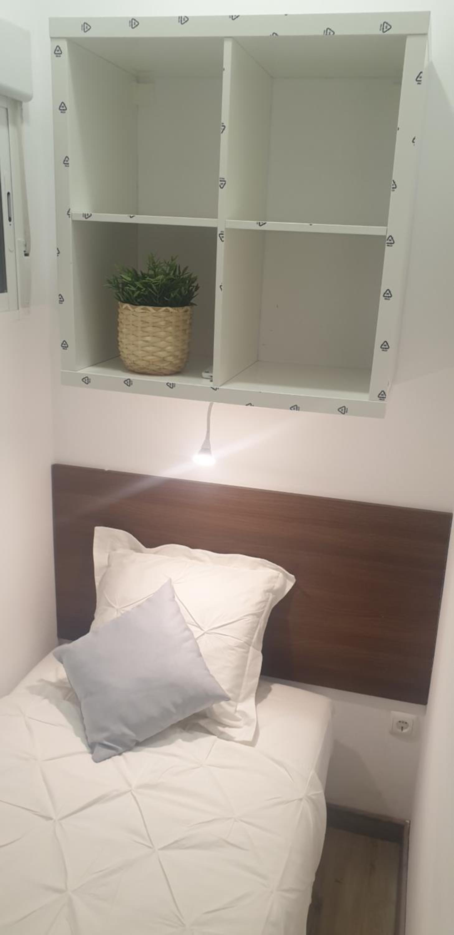 Budget Single Room photo 3
